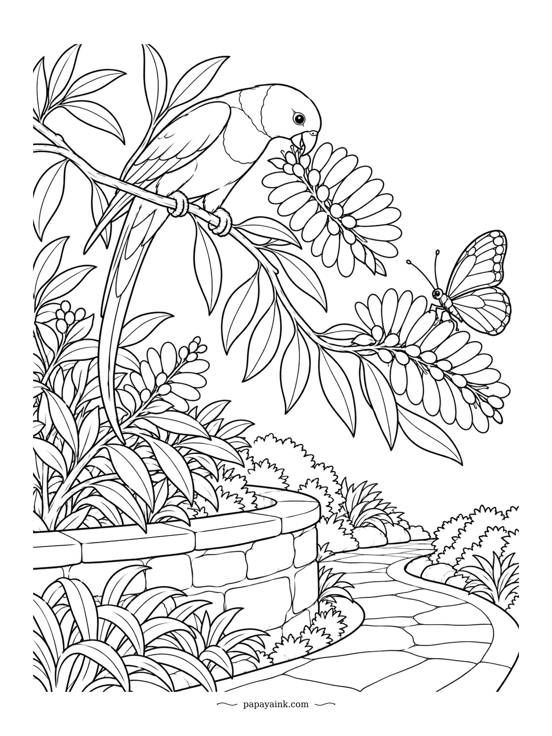 Parrot Coloring Pages - Lorikeets have tongues tipped with tiny bristles that mop up nectar, and this one has found a branch full of blossoms. A butterfly has had the same idea a little further on. Detailed garden with a stone wall and winding path.