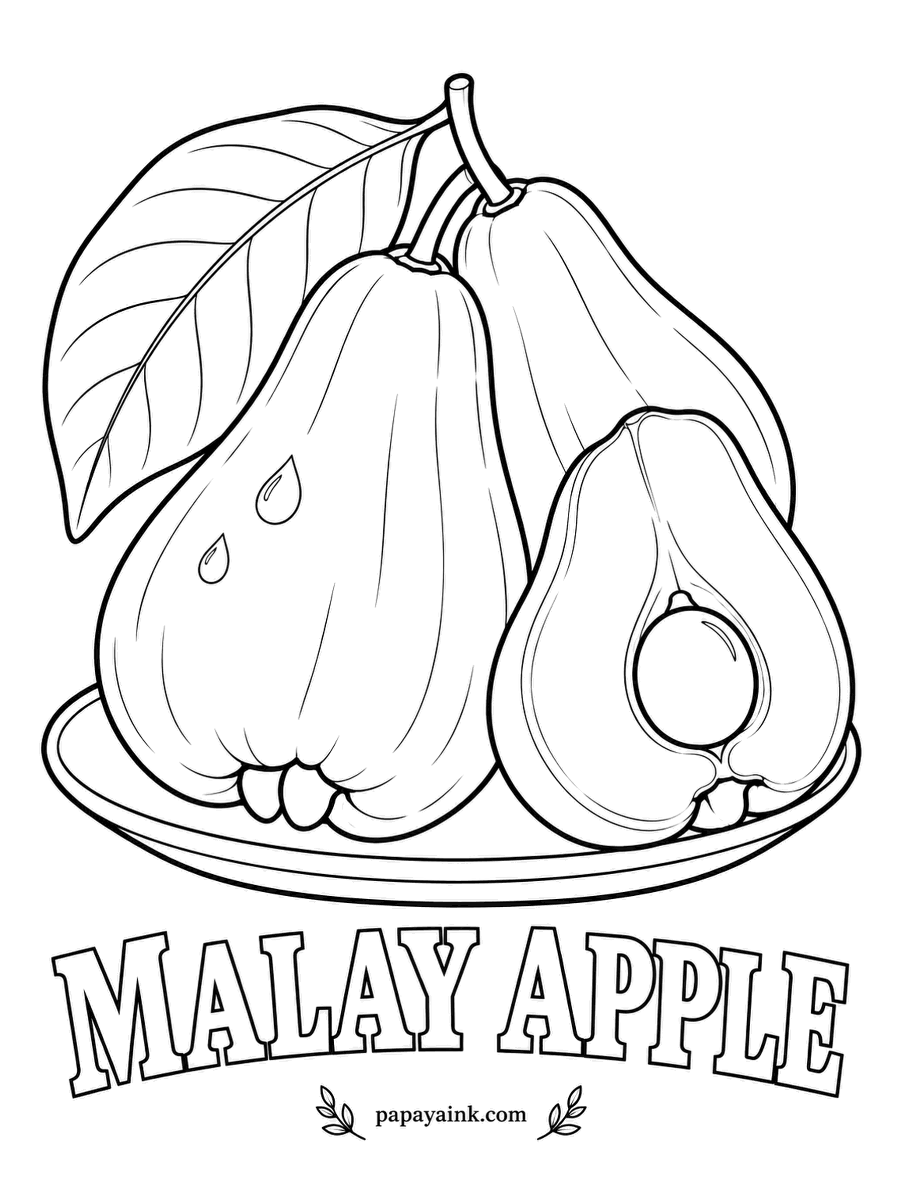 Printable Fruit Coloring Pages - Biggest of the bell-shaped tropical apples, the malay apple is deep crimson outside, pure white and crunchy within, with one round seed. Its flowers are bright pink pompoms that carpet the ground under the tree.