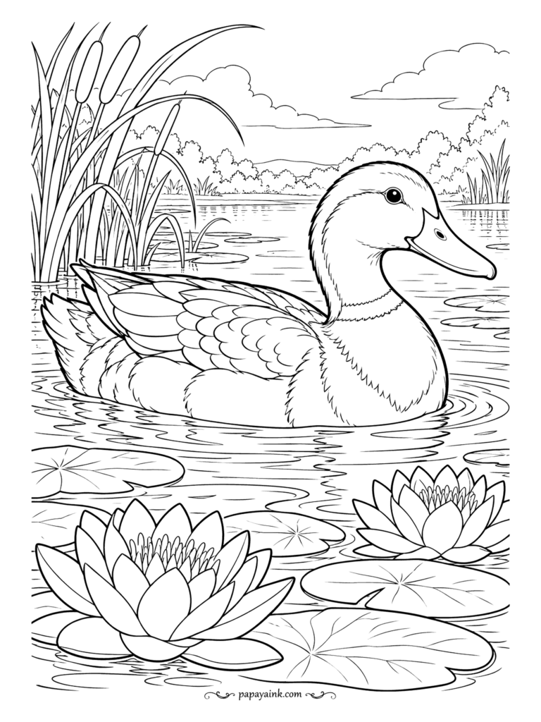 Duck Coloring Pages - A mallard hen drifts through a lily pond with cattails on one bank and a line of trees along the far shore. Her speckled feathers are drawn one by one, so a brown-and-cream palette with a single blue wing patch will do the work. Detailed.
