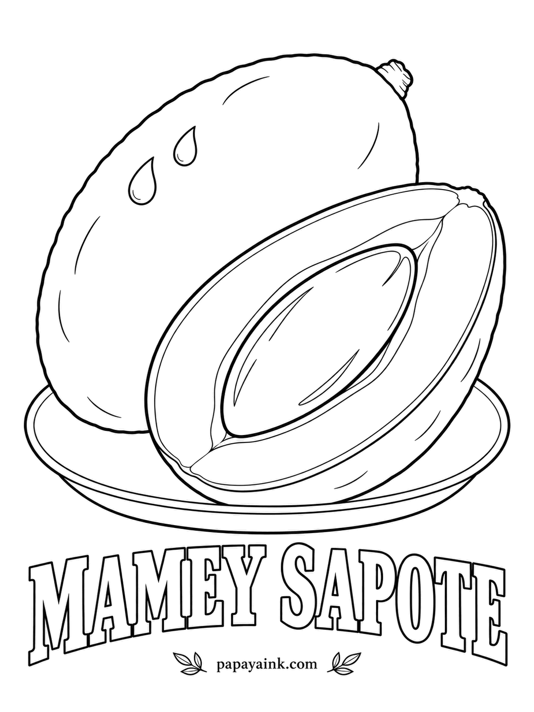 Printable Fruit Coloring Pages - The peel feels like fine sandpaper and is a dull russet brown; cut it and the flesh is a startling salmon red. One huge glossy seed sits in the middle, dark brown with a lighter stripe down one side.