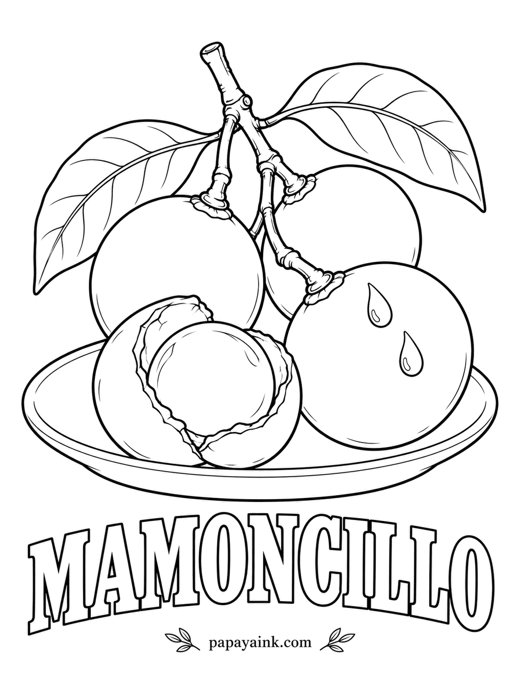 Printable Fruit Coloring Pages - Crack the thin green shell of a mamoncillo and the salmon pink pulp clings to a big seed, so it is eaten by sucking it off. Sold in bunches on Caribbean street corners. Leaf green shell, peachy pulp.