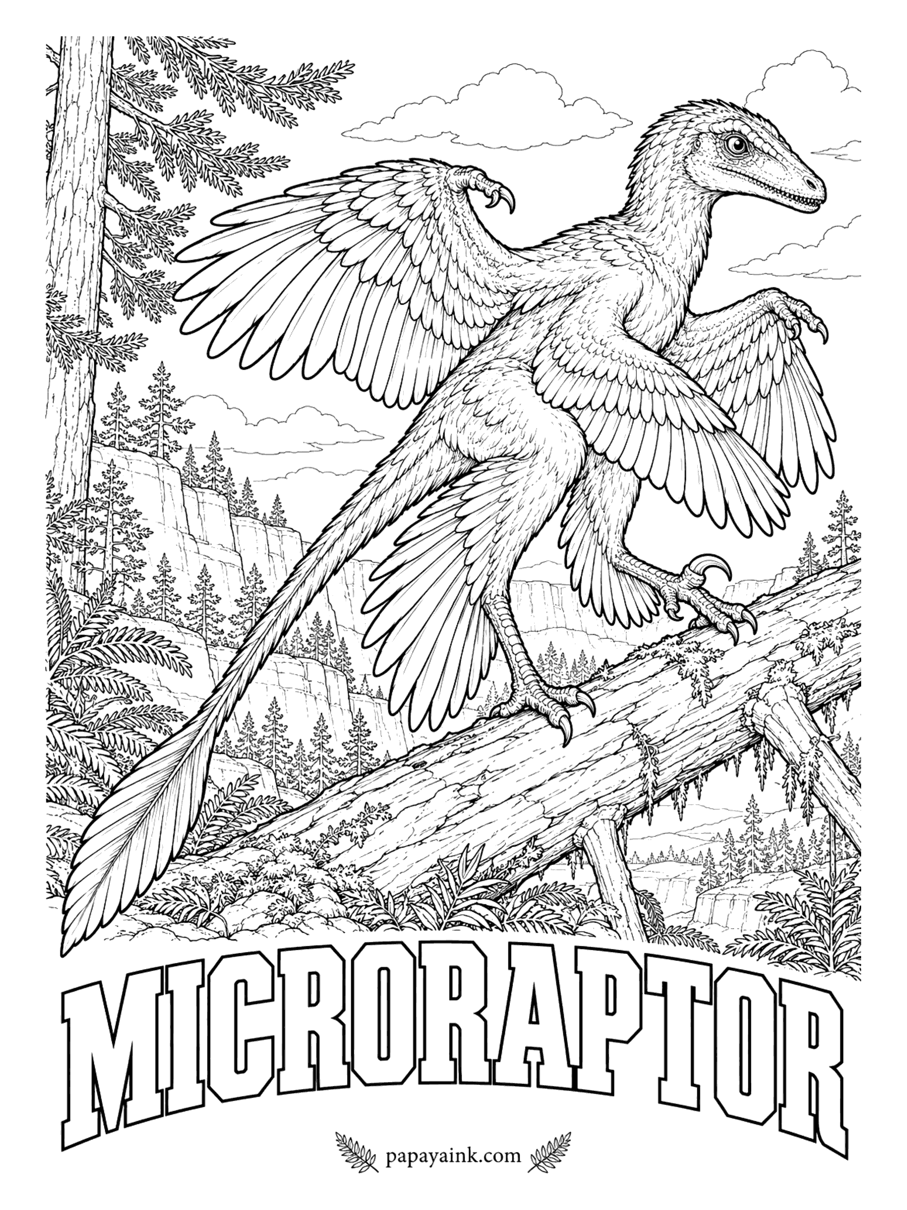 Free Printable Dinosaur Coloring Pages - Four wings, not two: long flight feathers grew on the legs as well as the arms. Microraptor (MY-kro-RAP-tor, small thief) was a crow-sized hunter up to about 3 feet long, and pigment cells in its fossil feathers show they were black with a glossy sheen. China, about 120 million years ago.