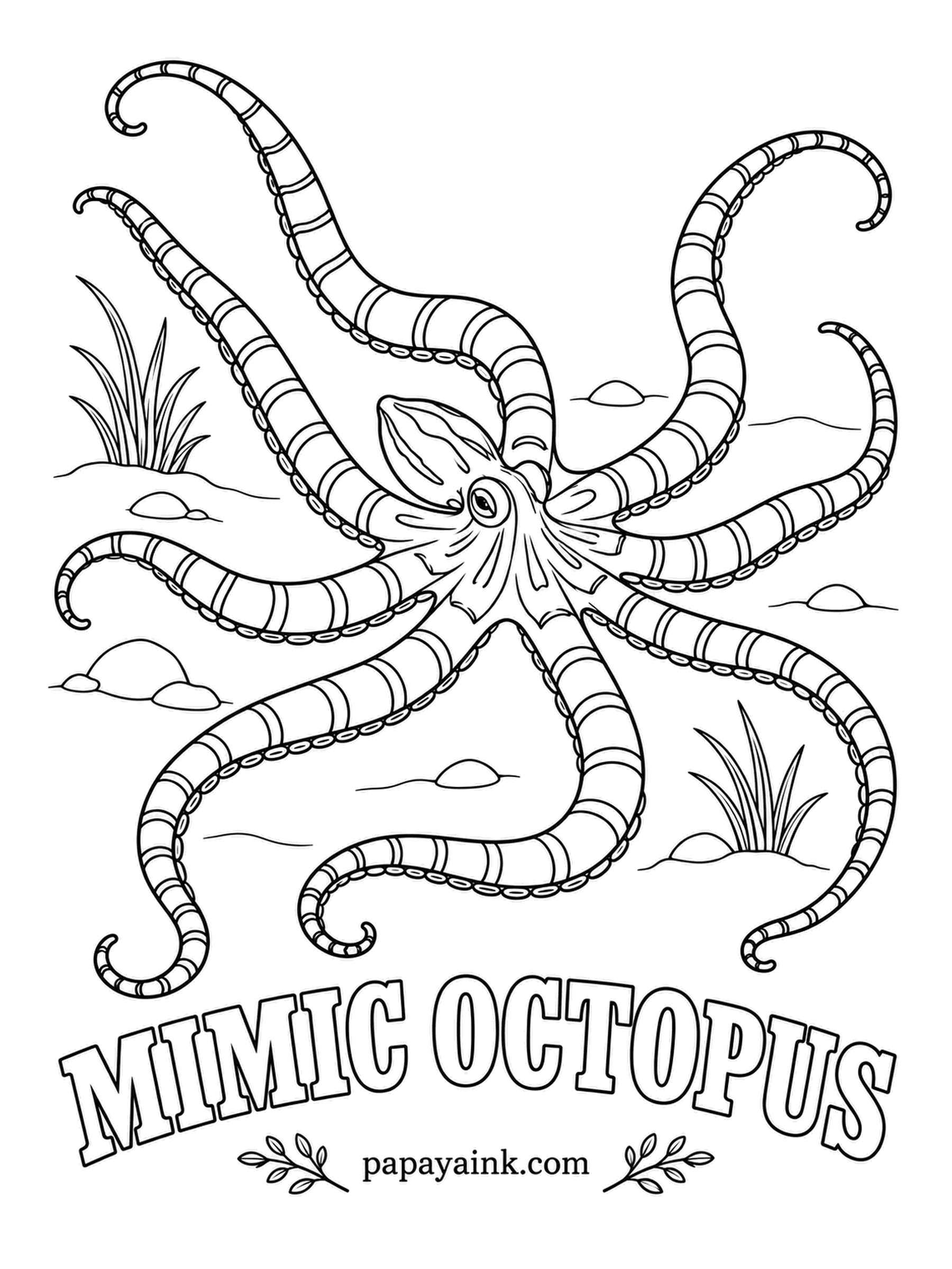 Sea Creature Coloring Pages - When a fish comes looking for lunch, this octopus becomes something else: a flat sole, a venomous lionfish, or a sea snake made of two arms while six hide in a burrow. Divers first noticed it in the late nineties. Chocolate and white bands.
