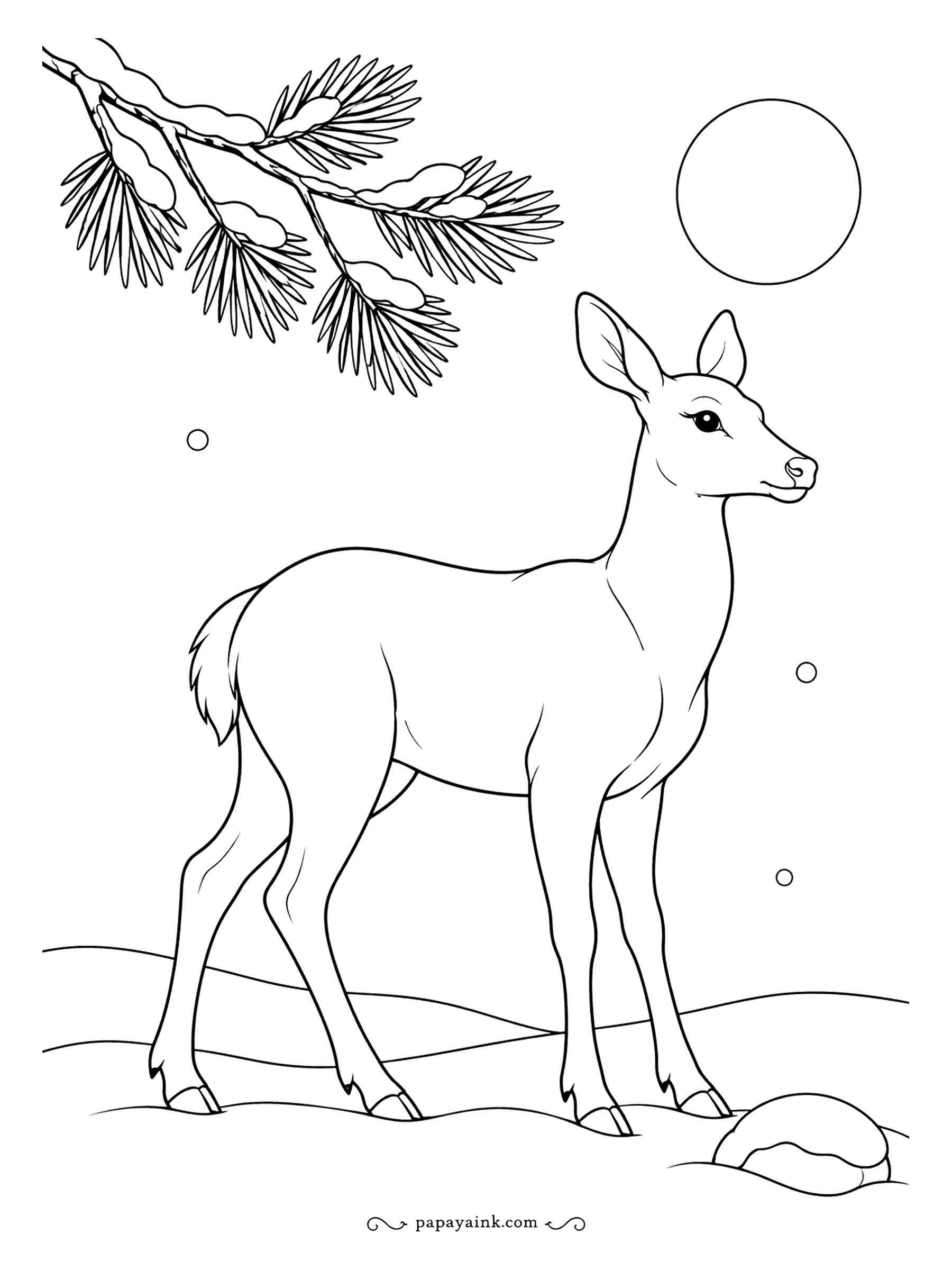 Deer Coloring Pages - Snowy slope, one snow-laden pine branch, a full moon and a doe. Almost all white space, so it colors in minutes - a good one for the youngest artist in the house.