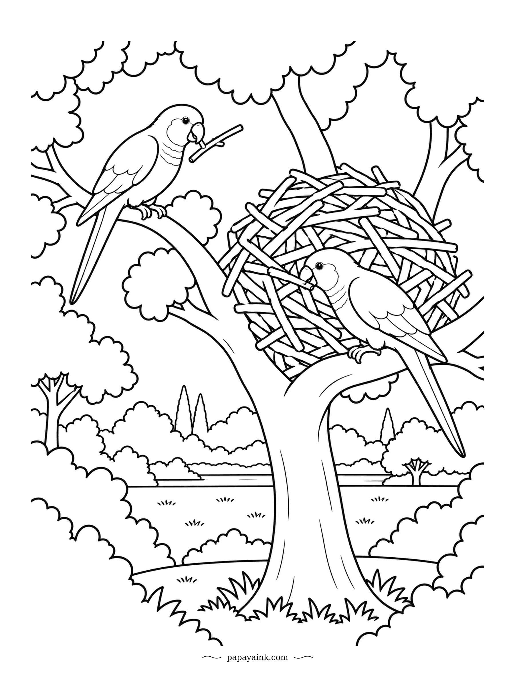 Parrot Coloring Pages - Monk parakeets are the only parrots that build big stick nests, and colonies keep adding rooms for years. One brings a twig while the other tucks it into the side wall. Heavy outlines and leafy trees behind.