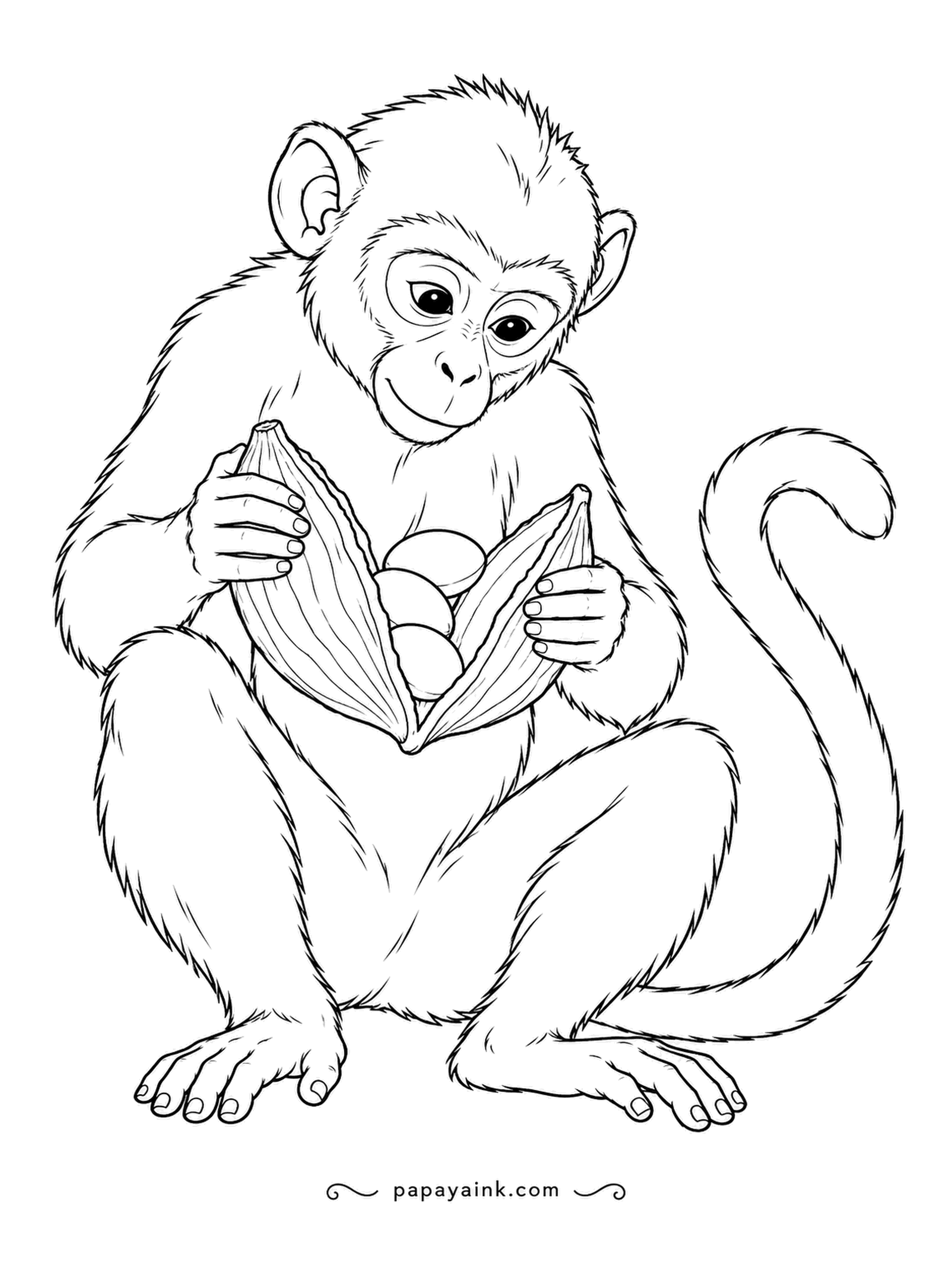 Monkey Coloring Pages - Dry pods split along a seam, and the monkey prises this one wide to reach the round seeds inside. Realistic coat and nimble hands - a detailed, calm sheet.