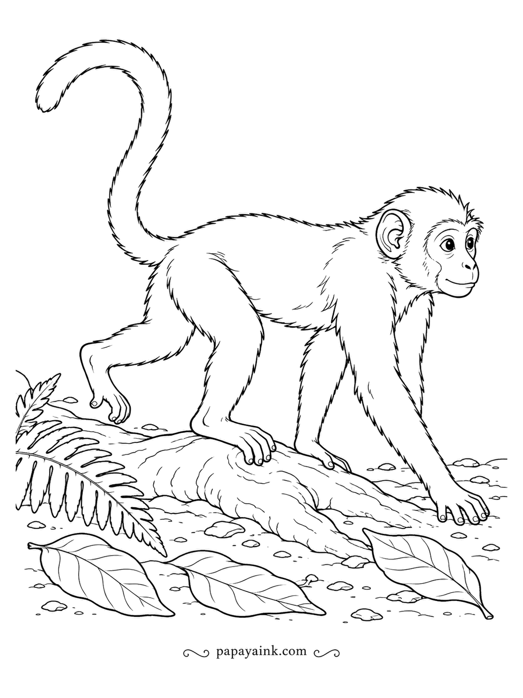 Monkey Coloring Pages - On the forest floor, a monkey steps over a thick exposed root, tail arched high for balance. Fallen leaves and a fern finish the ground. Lifelike fur, plenty of fine texture.