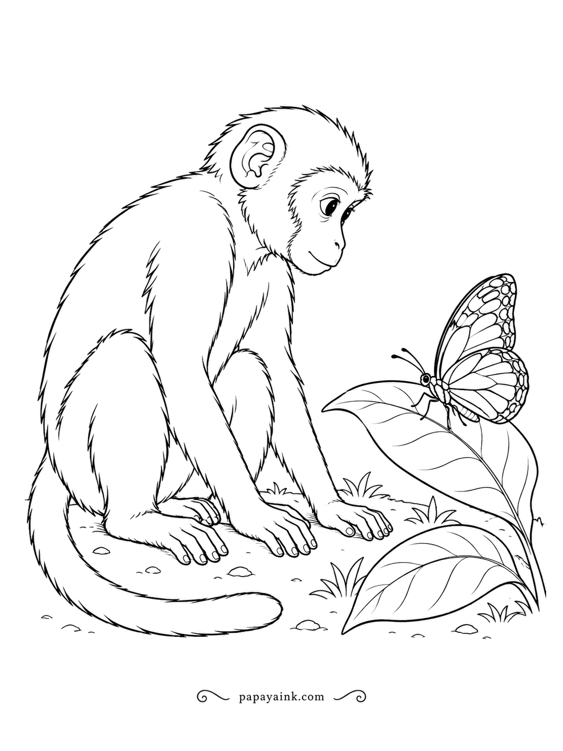 Monkey Coloring Pages - A butterfly lands on a leaf at eye level, and the monkey sits perfectly still so as not to scare it off. Realistic fur and patterned wings - a calm, detailed page.