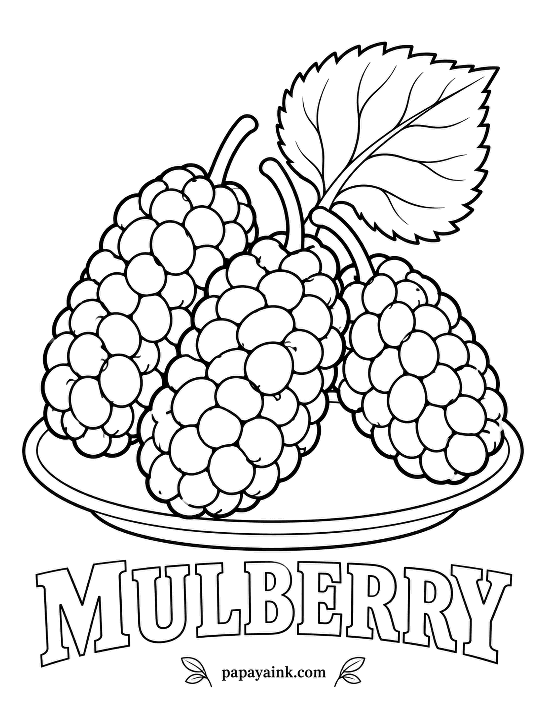 Printable Fruit Coloring Pages - Longer and narrower than blackberries, mulberries hang from a short green stalk that stays attached. White, red and black kinds all exist; dark ones stain fingers purple, so a deep wine color is the classic choice.