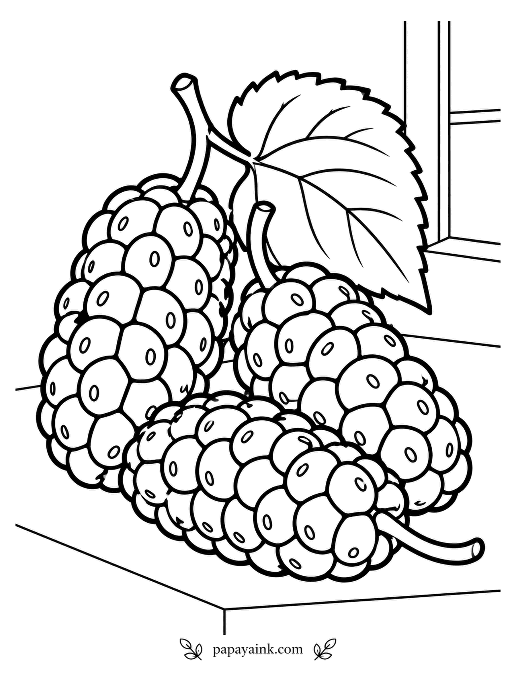 Fruit Coloring Pages - Silkworms feed on mulberry leaves, and people go after the berries - with purple fingers to show for it. Unlike blackberries, mulberries come off the branch with a little green stem attached, as these three do. Detailed - dozens of tiny round drupelets on each berry.