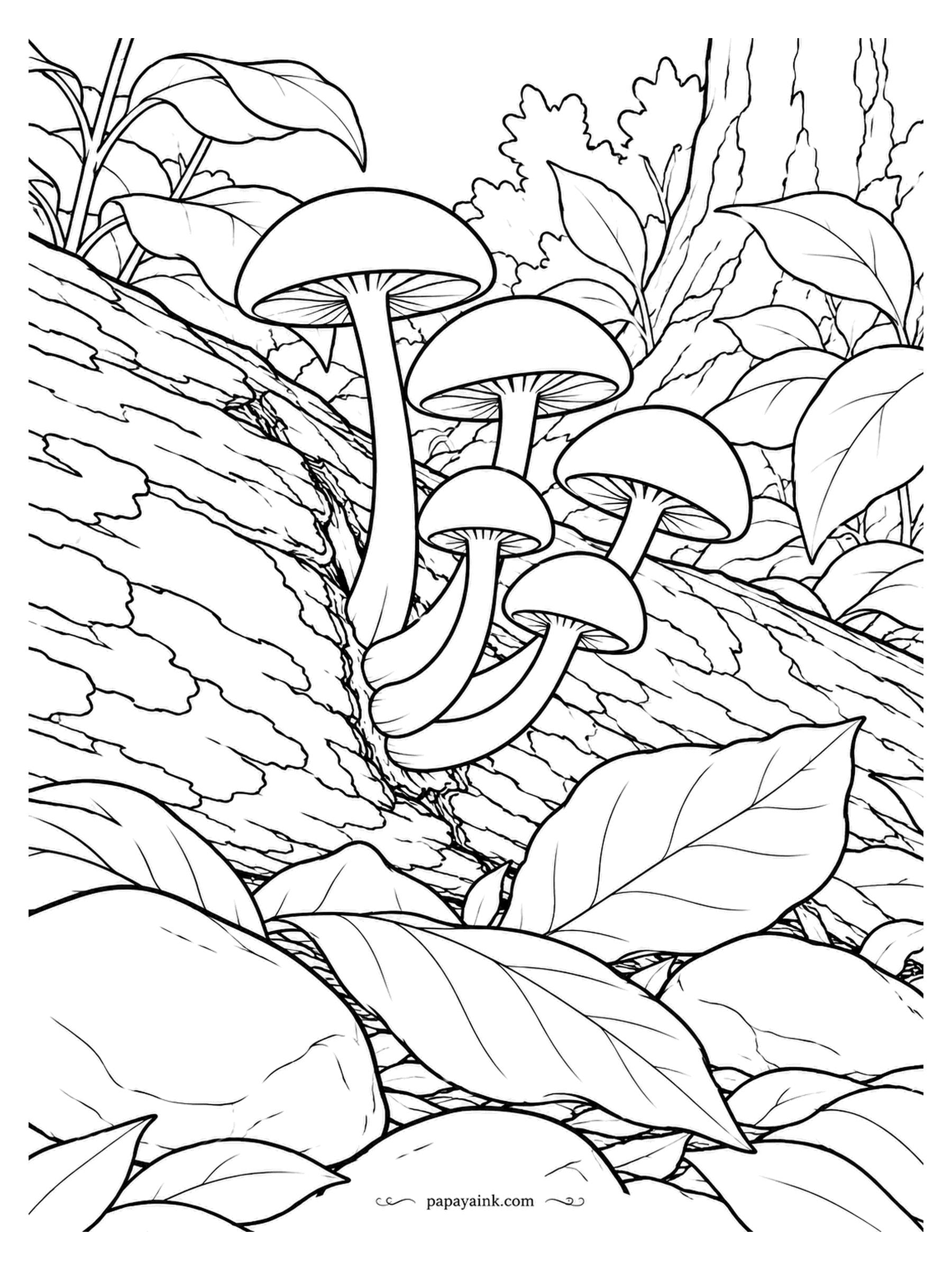 Mushroom Coloring Pages - Pushing out of a crack in a fallen trunk, a cluster of beech mushrooms with stems bending toward the light. Each cap is about the size of a coin; bark texture fills everything else. Detailed.