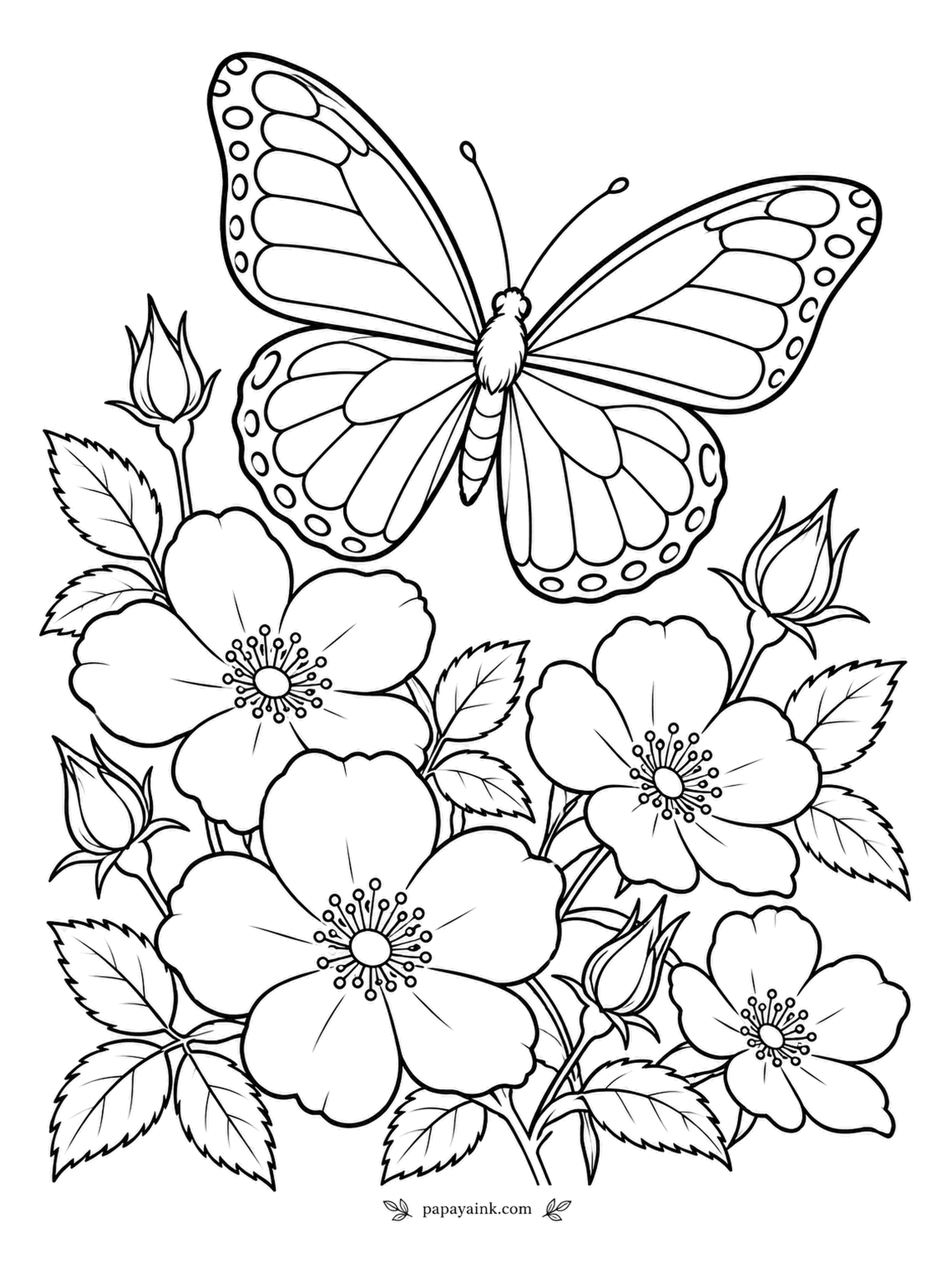 Rose Coloring Pages - Butterflies taste with their feet, so landing is how they decide whether a flower is worth it. This one is still hovering over a patch of wild roses, making up its mind. Bold wing panels - plan the pattern before coloring.