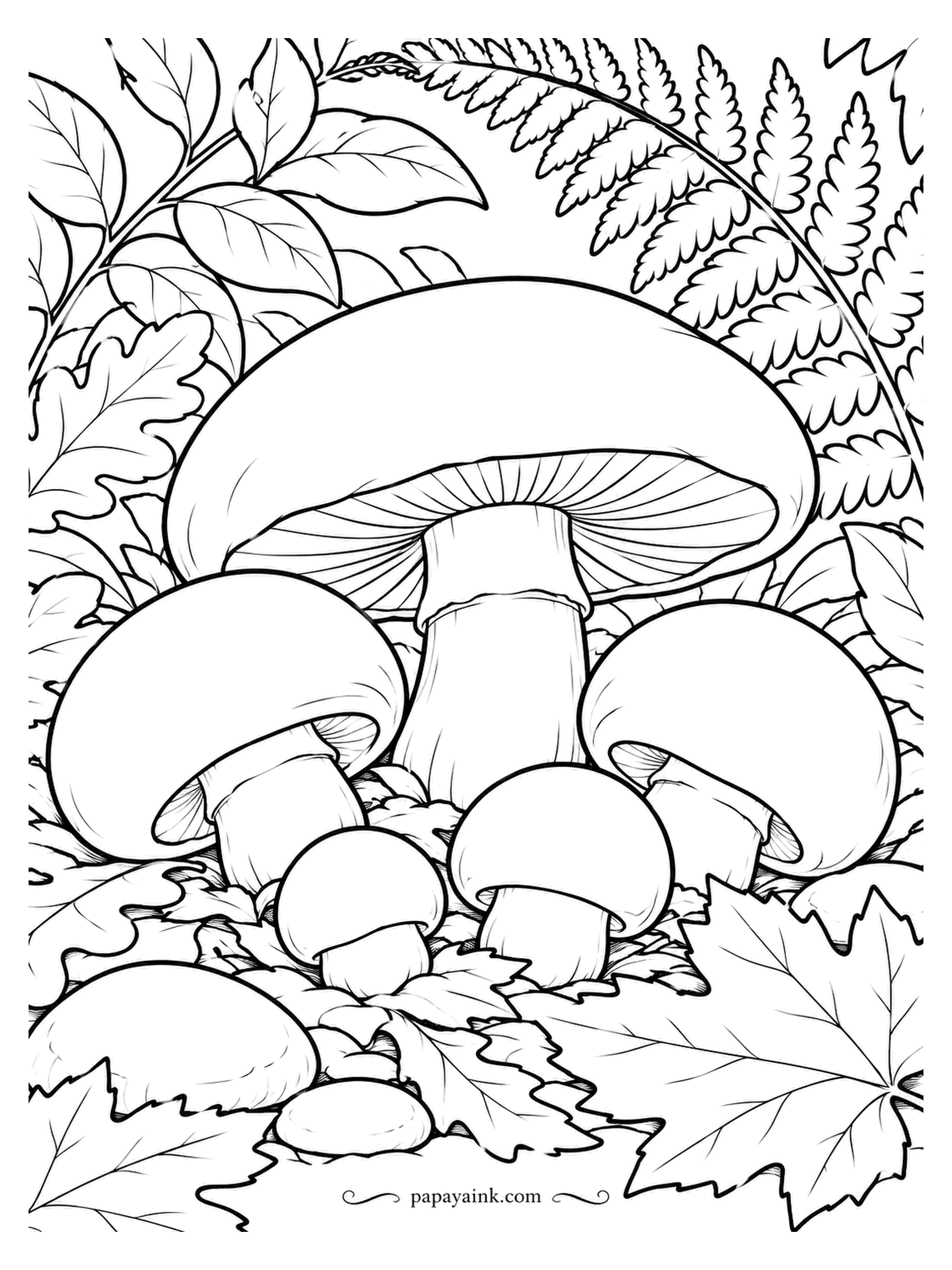 Mushroom Coloring Pages - Button mushrooms at three sizes under a fern, with oak and maple leaves drifting around them. The big one in the back has started to open, so you get a glimpse of gills. An easy way into the natural set: large shapes and generous spaces.