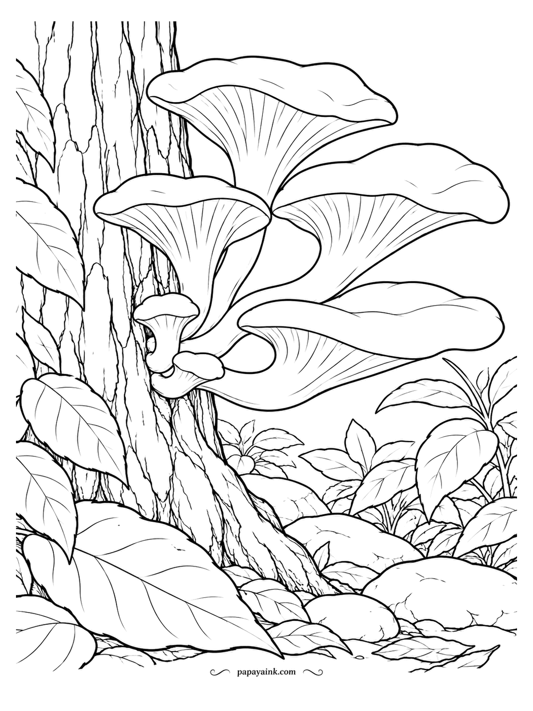 Mushroom Coloring Pages - Bursting from the side of a standing trunk, golden oysters with their funnel caps all turned toward the light. The stems join at a single base, because the cluster grows from one point in the wood. Yellow caps, pale stems, dark bark. Detailed.