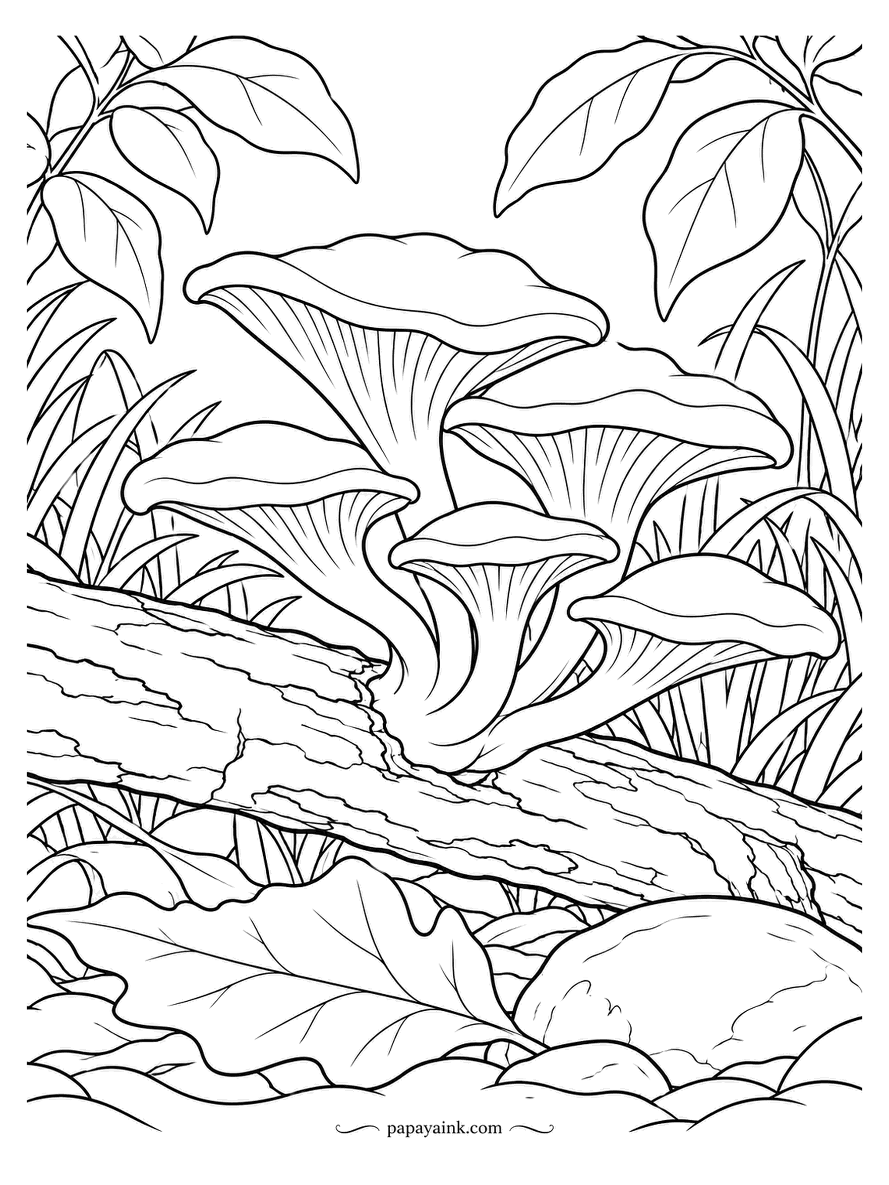 Mushroom Coloring Pages - Golden oysters rising from the side of a log, funnel caps turned up to the sky. Each cap has radiating gills that run down into the stem, and a fine-tip pen earns its keep here. Yellow caps against grey bark. Detailed.