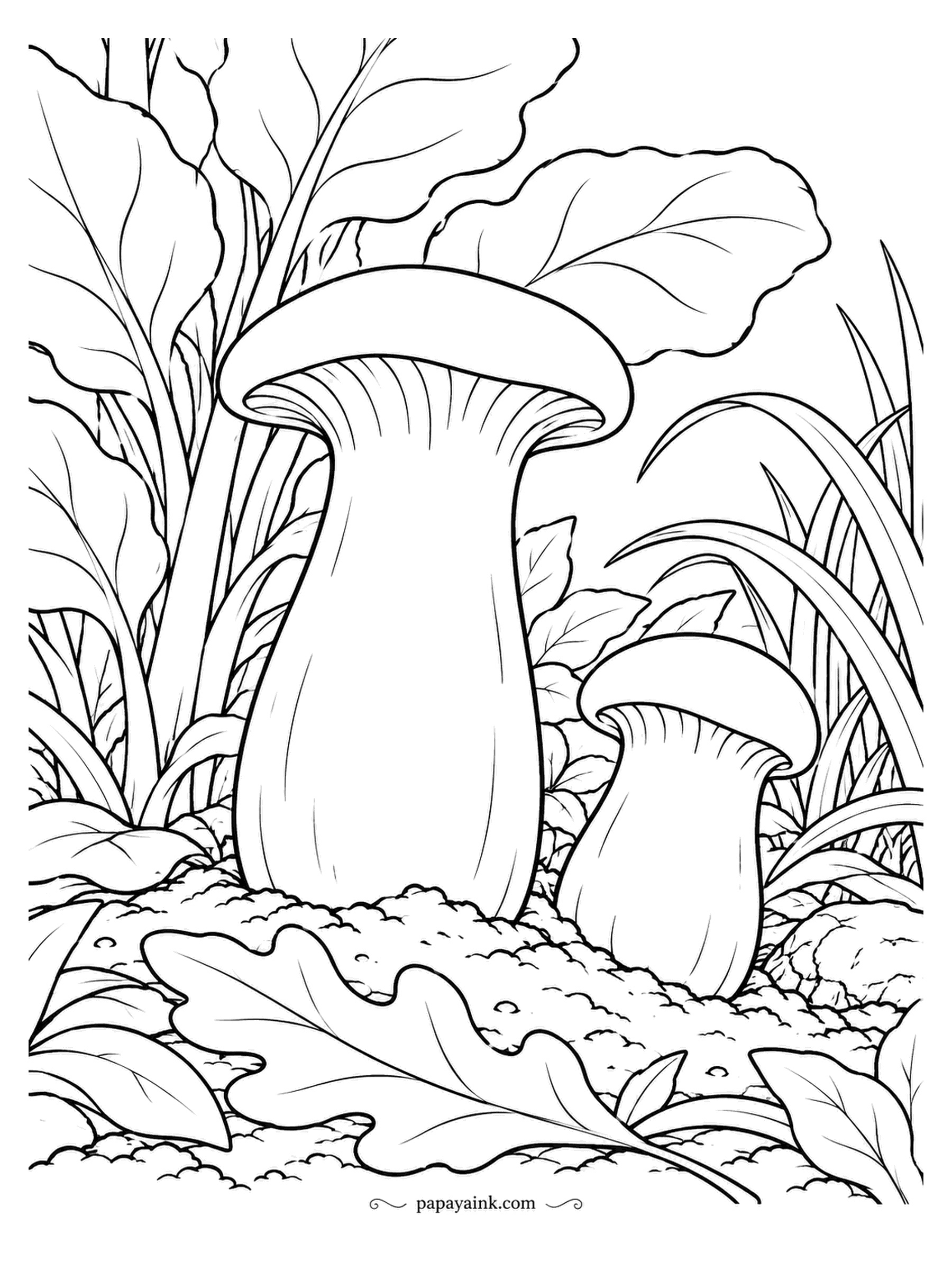 Mushroom Coloring Pages - In the undergrowth, two king oysters, one tall and one still low, with broad leaves behind them. Farms grow kings in narrow bottles, which is why the stems come out so straight. Ivory stems, tan caps, and a deep green around them.