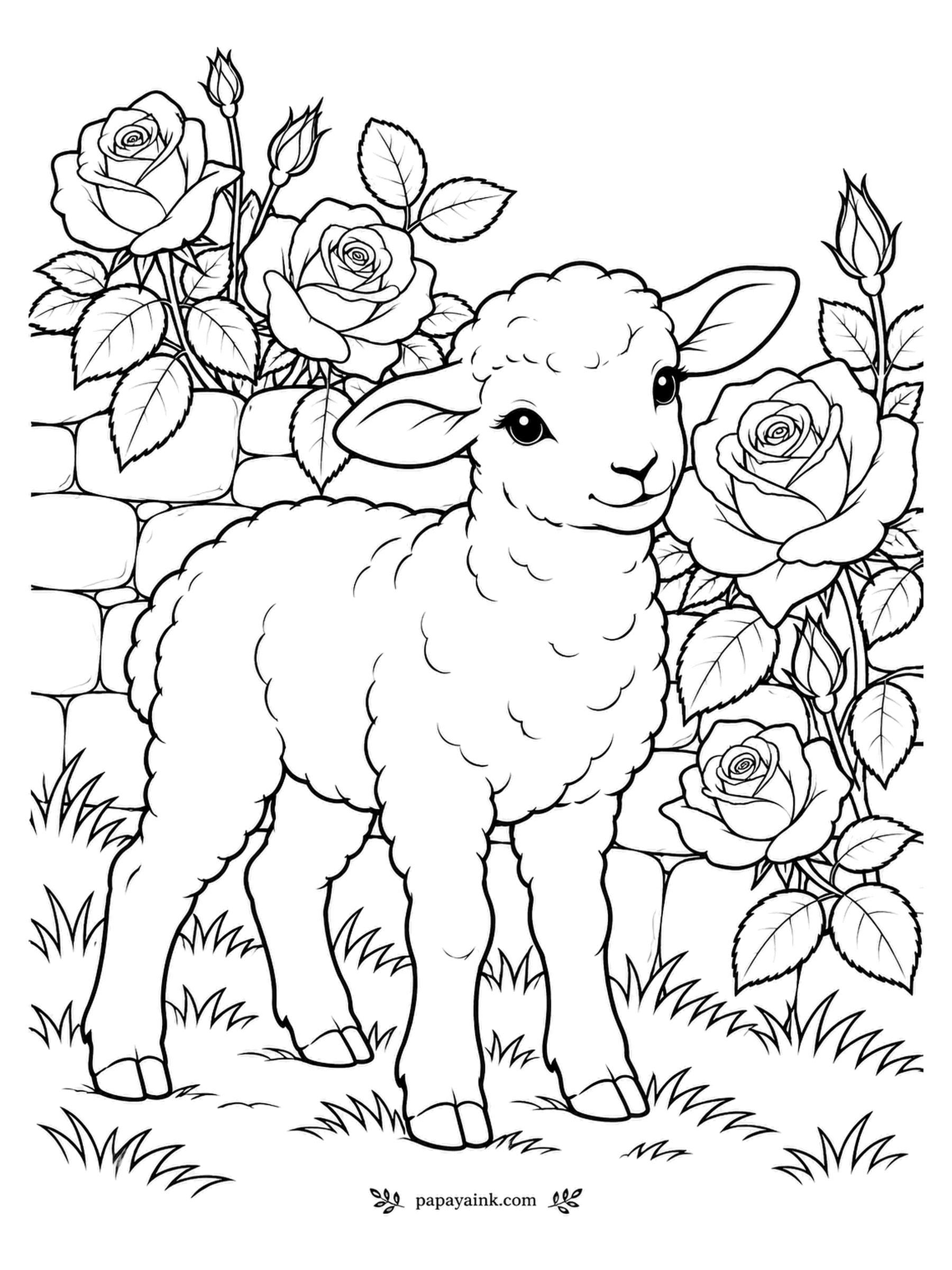 Rose Coloring Pages - Wandered from the field to the garden wall, the lamb has found the roses, and nobody is in a hurry to send it back. Small curls cover its fleece - fill them with cream and shade only the edges.