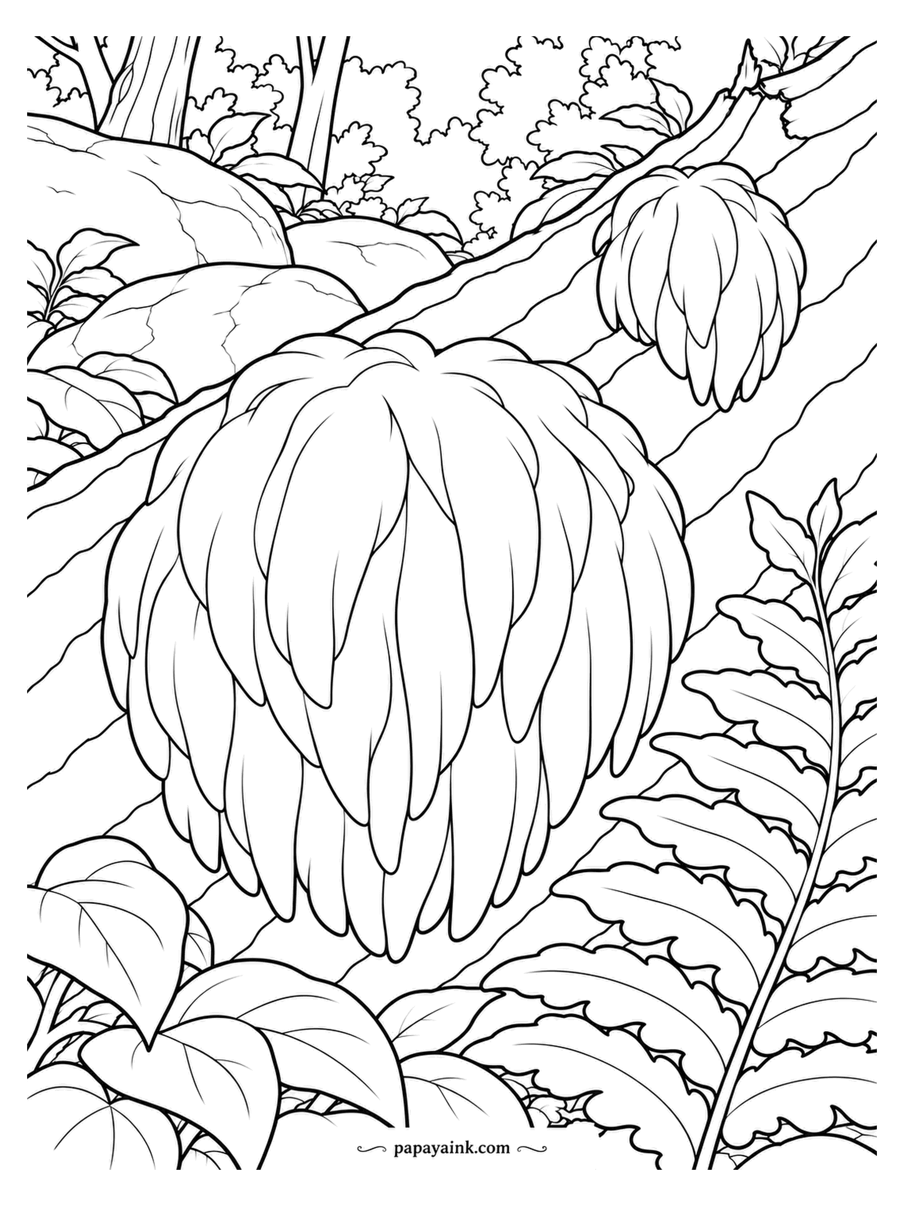 Mushroom Coloring Pages - From a sloping branch hang a large lion's mane in front and a smaller lobe higher up behind it, with ferns closing in on the right. The spines are long enough to trace with a single stroke each. White mushrooms, dark branch, green ferns. Detailed.