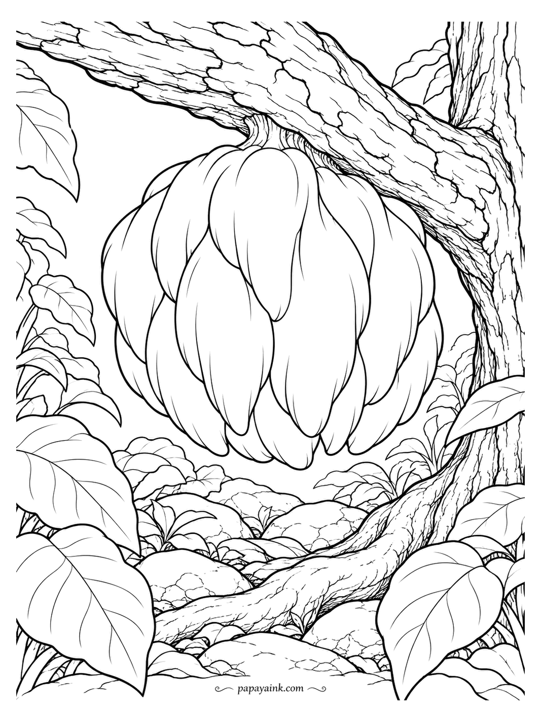 Mushroom Coloring Pages - Hanging from the bend of a branch, a lion's mane with spines pointing straight down as gravity drew them. It is one of the few mushrooms with no cap and no gills at all. Shade the inside of the clump, leave the tips untouched.