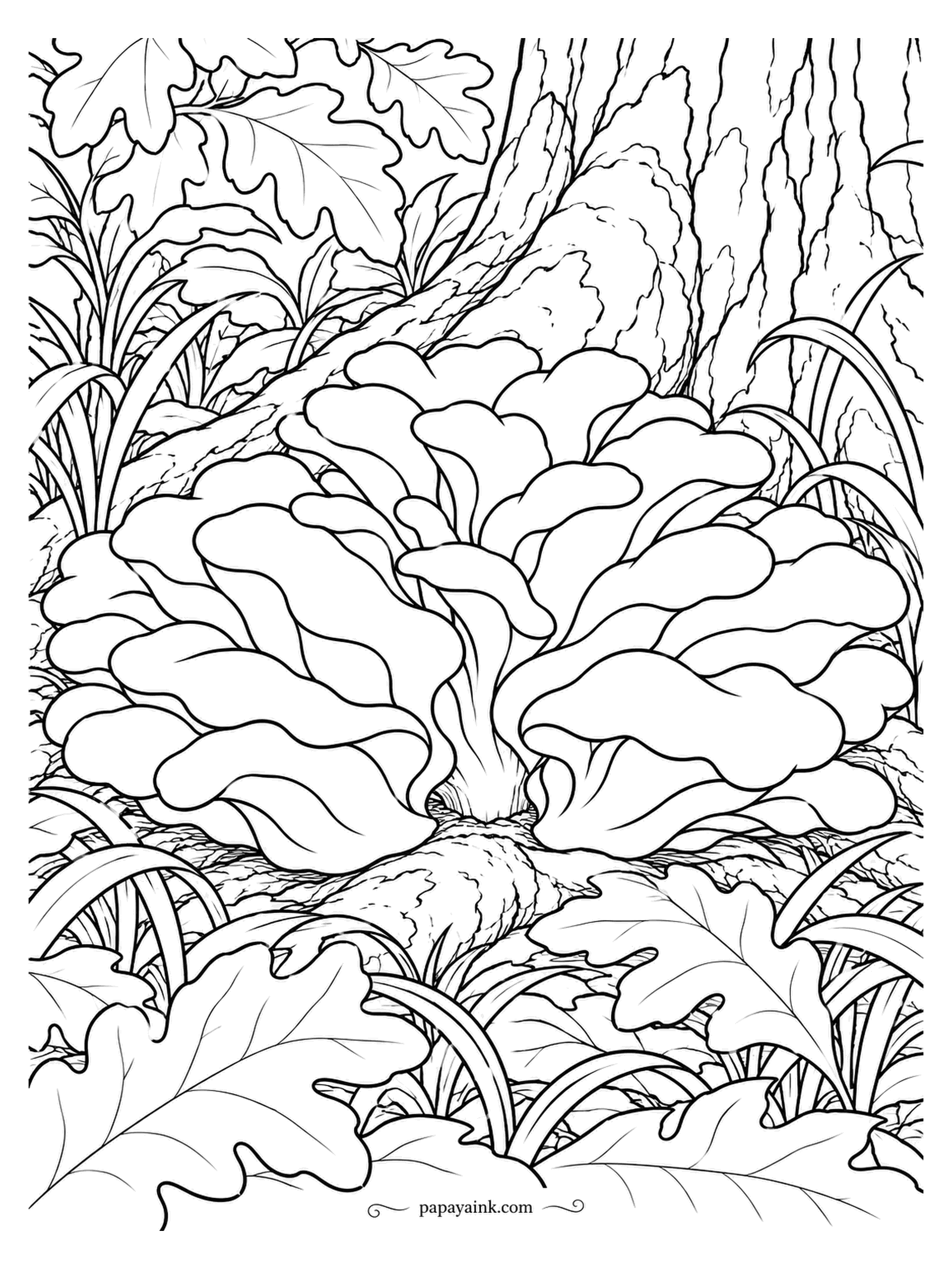 Mushroom Coloring Pages - Dozens of fronds fanning out from one short trunk: a whole maitake at the foot of an oak. They can weigh as much as a small dog. Every frond is its own little shape to shade, so settle in. Detailed.