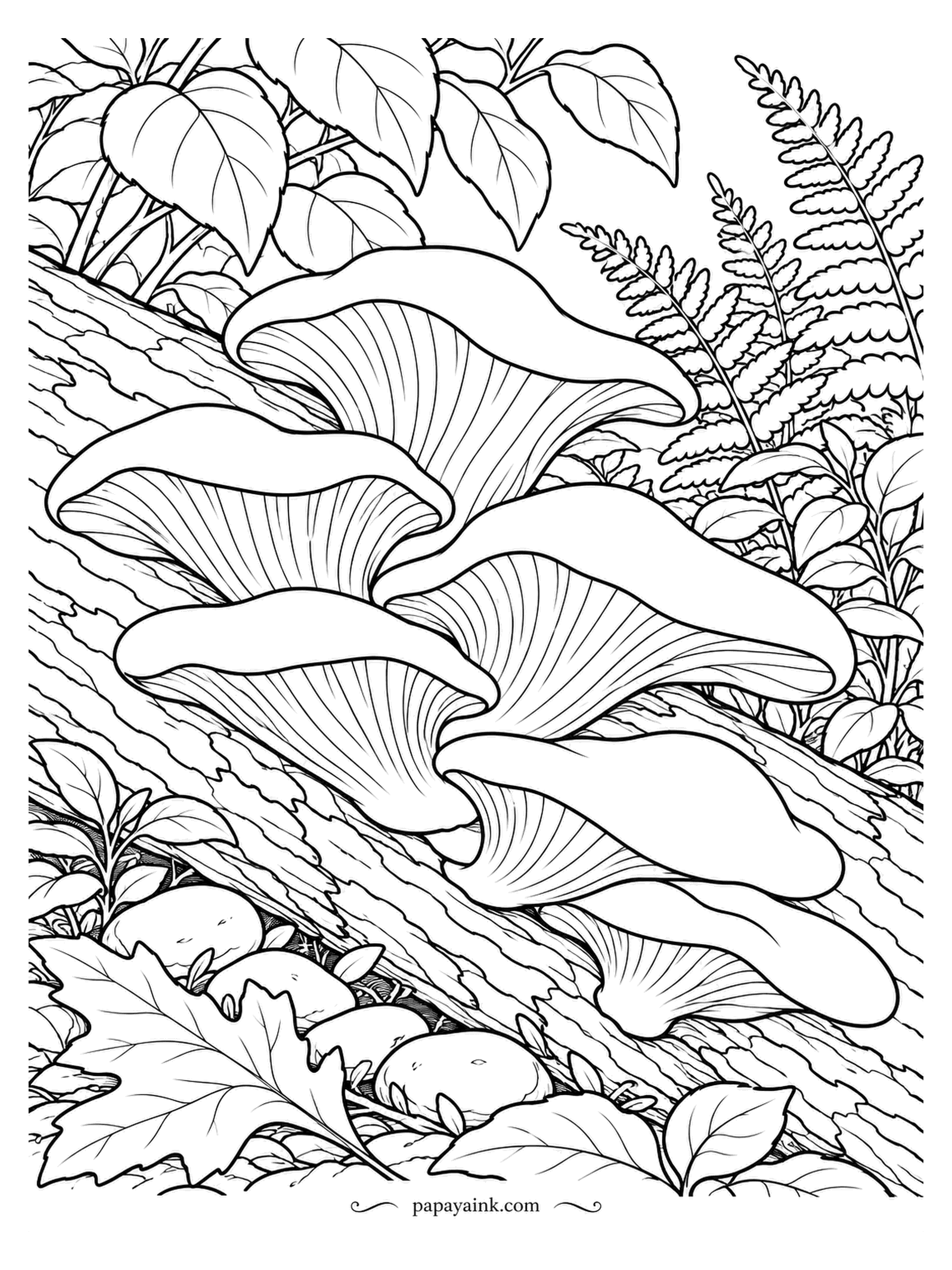 Mushroom Coloring Pages - Oyster shelves climbing a fallen log, each cap showing its full fan of gills. These are the mushrooms that grow on dead wood and, strangely, also trap and eat tiny worms in the soil. Grey or tan caps, cream gills, dark bark behind.
