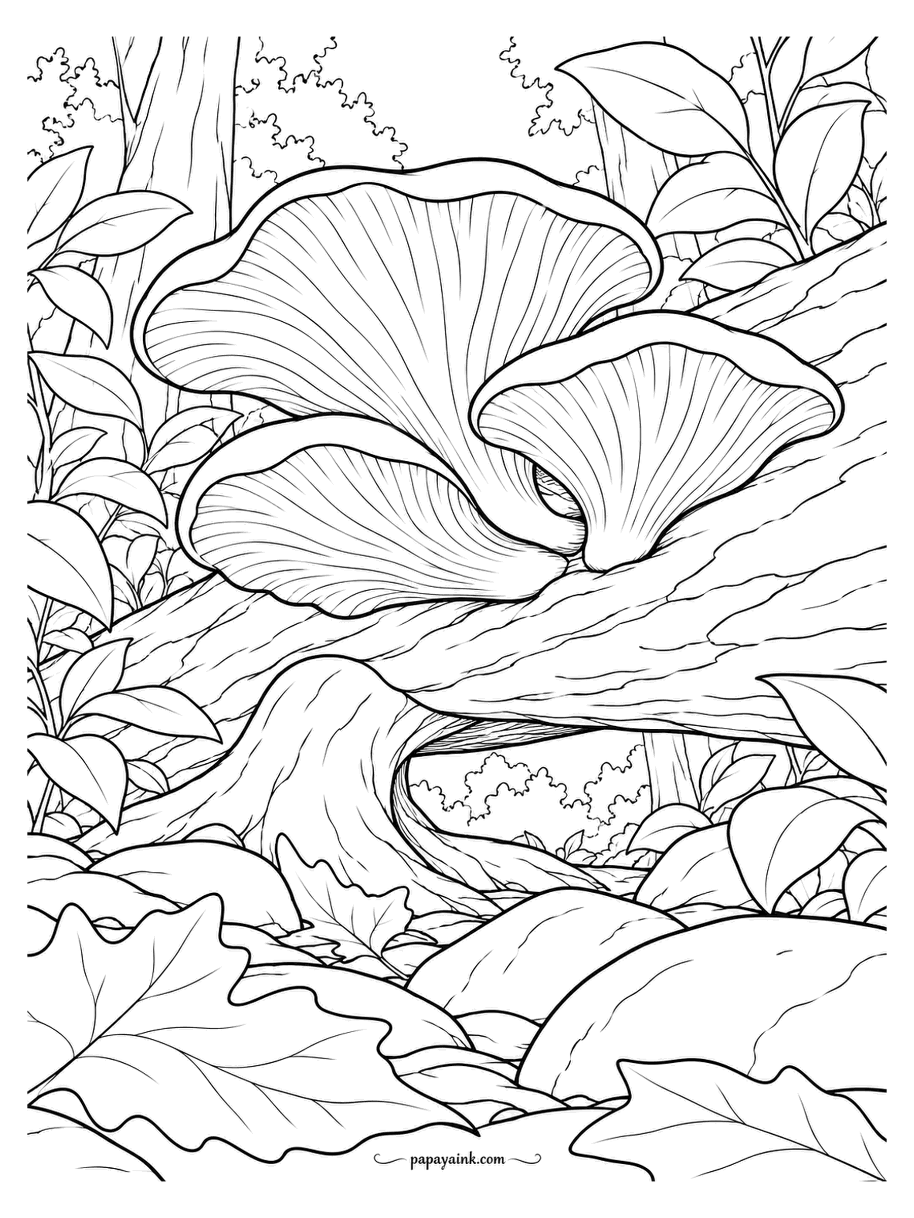Mushroom Coloring Pages - Drawn from below, oyster mushrooms on a fallen log with the gills as the main event. The name comes from the shell shape of the cap, not the taste. Grey or tan on top, cream gills, and a fine pen for the lines.