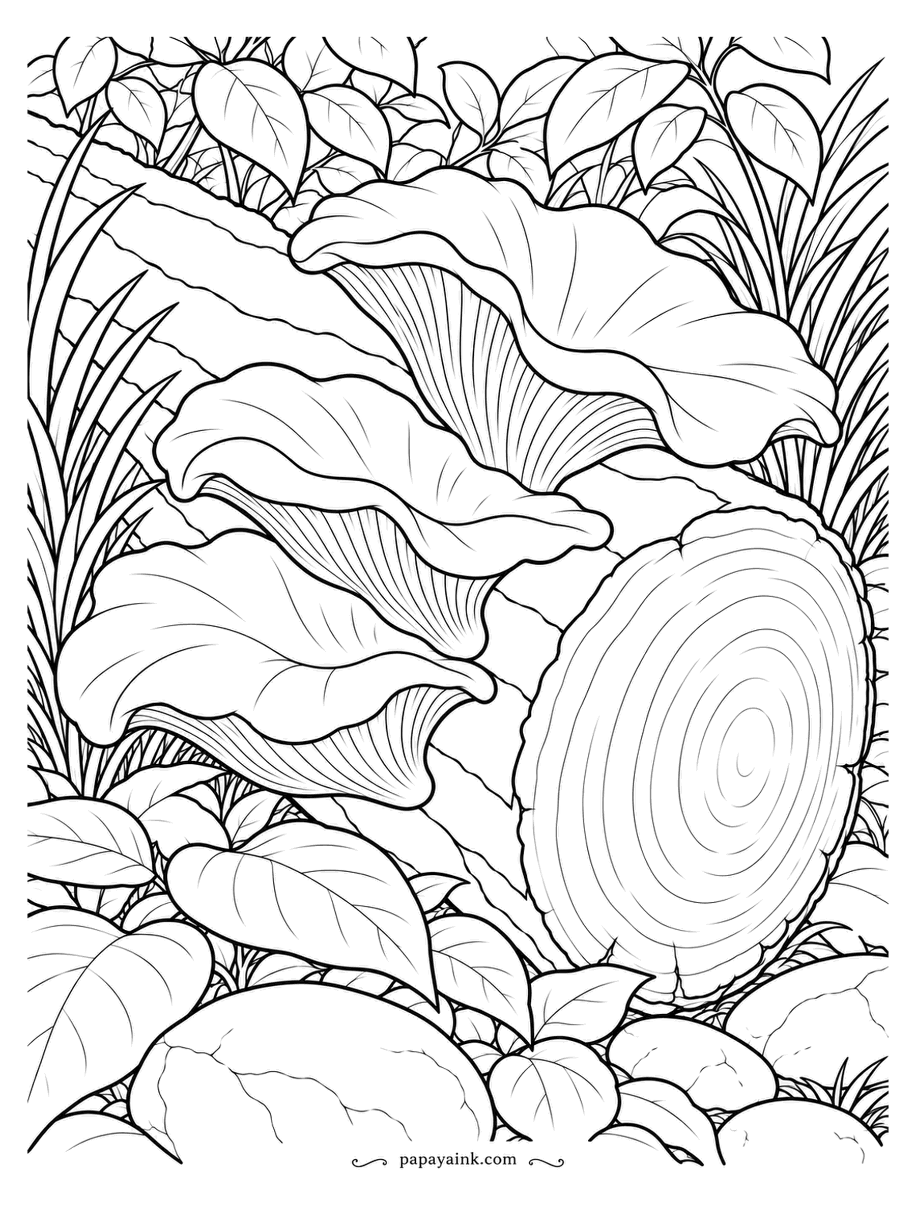 Mushroom Coloring Pages - Pink oysters growing around the cut end of a log, with the growth rings of the wood right beside them. Ruffled caps and wavy edges, three fans at three different angles. Salmon pink on the mushrooms, warm brown on the rings.