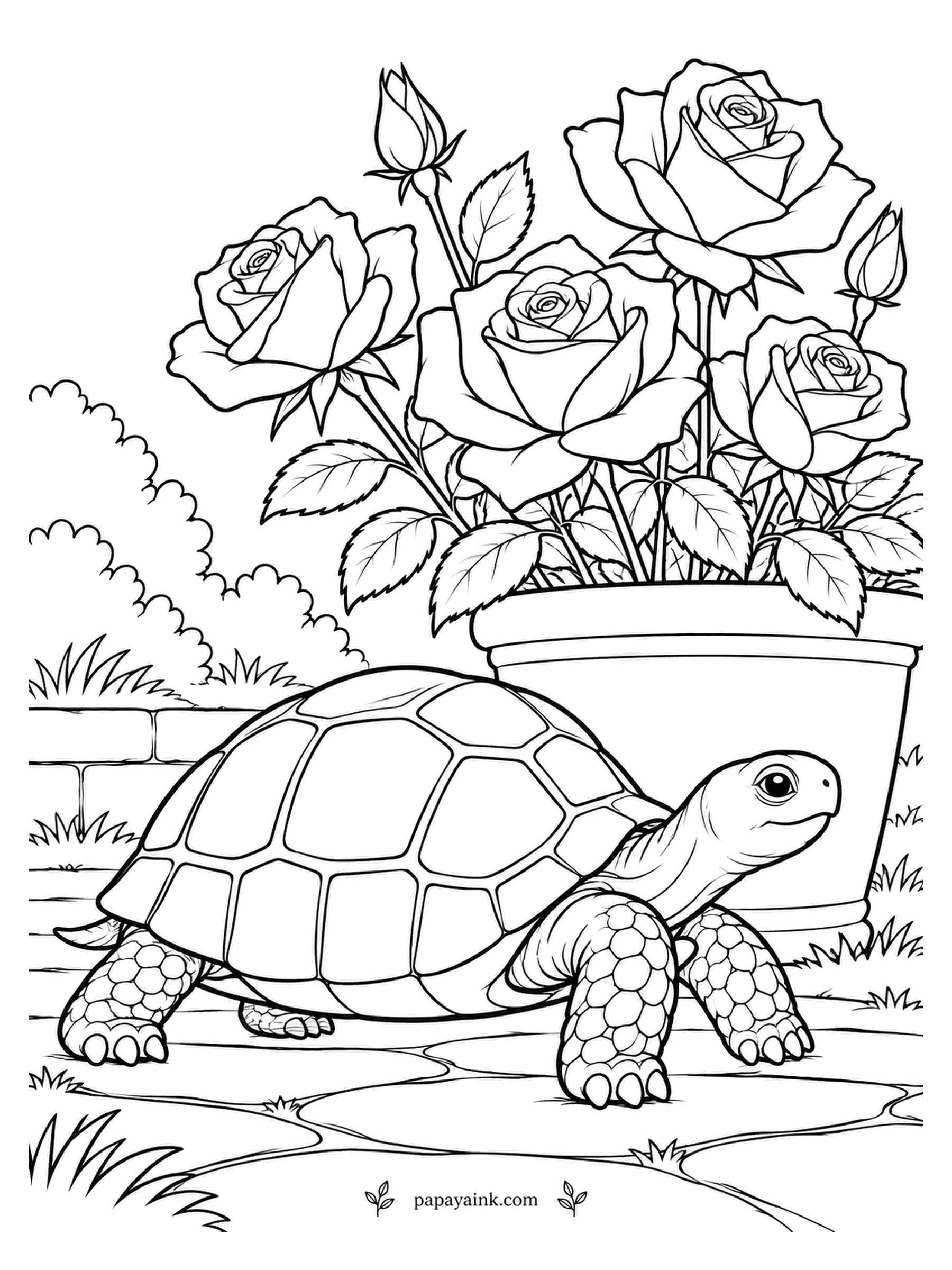 Rose Coloring Pages - Strolling is the only speed a tortoise has, and the roses in the planter are not going anywhere either. Every scale on the shell and legs is drawn in. Detailed - warm browns and olive work well.