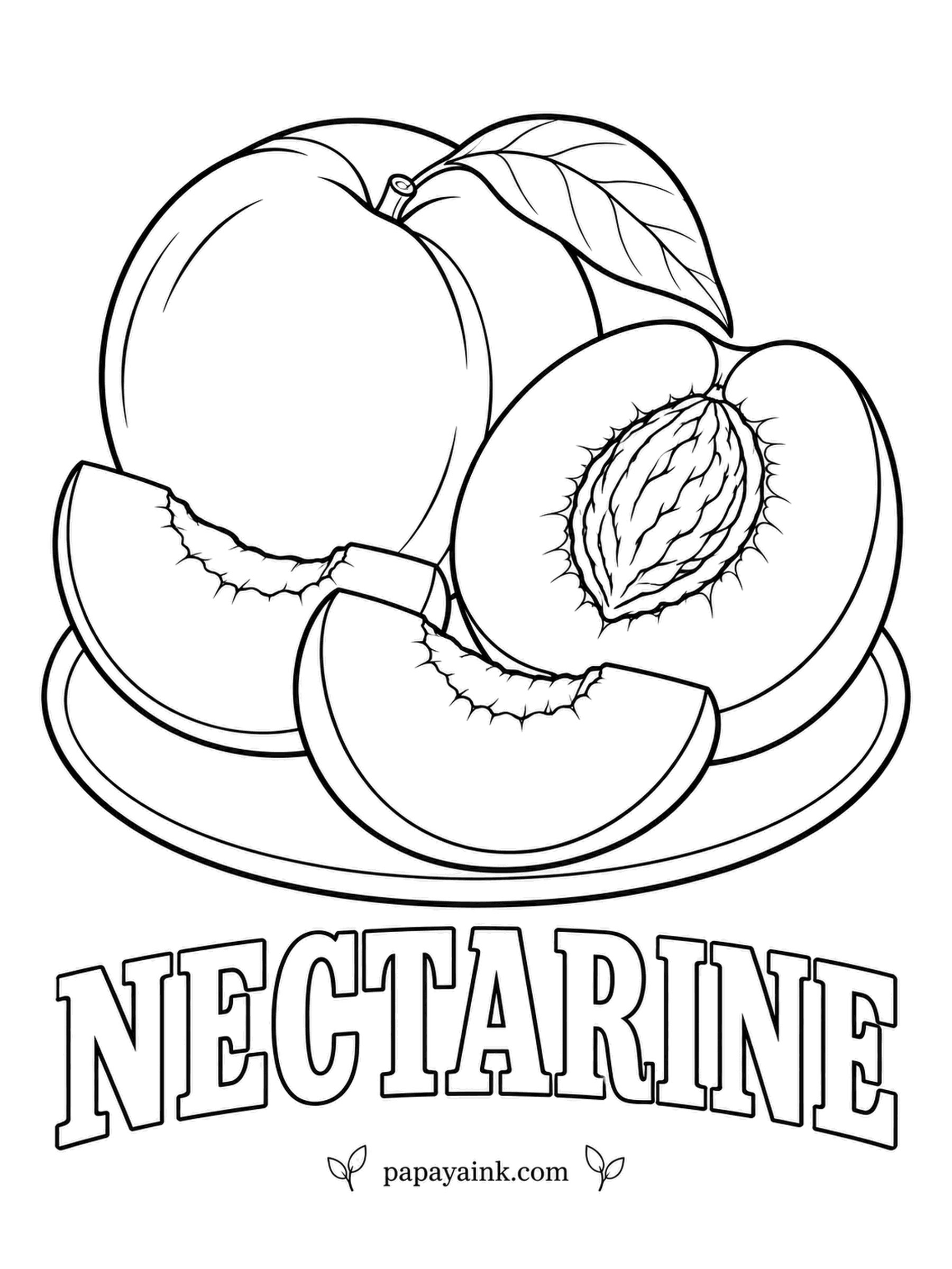 Printable Fruit Coloring Pages - A nectarine is a peach without the fuzz, so the surface here is smooth and shiny. Deep red bleeding into yellow is the usual coloring; the stone is the same furrowed pit as the peach next door.