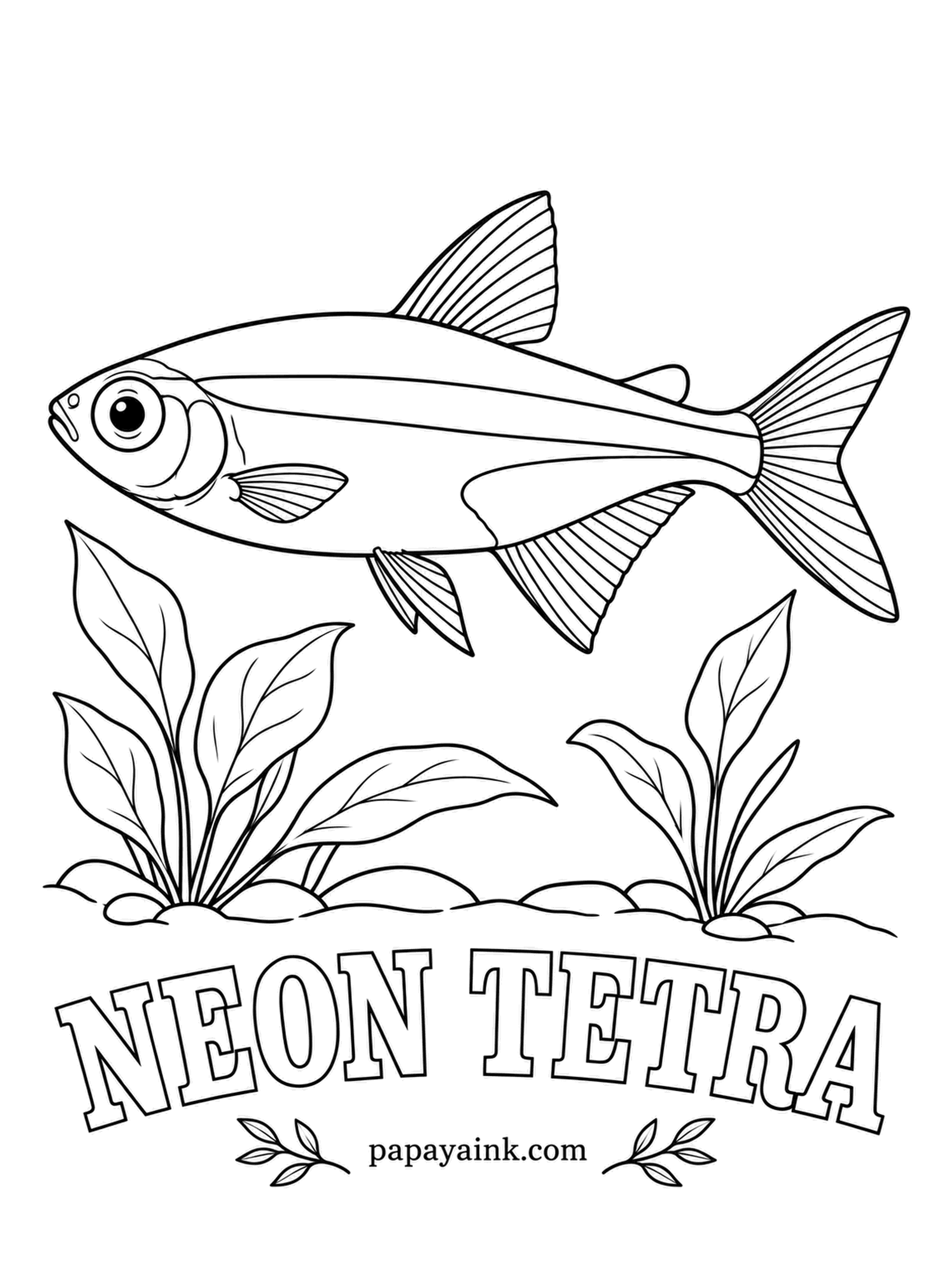 Aquarium Fish Coloring Pages - That blue stripe is not pigment but light bouncing off reflective cells, which is why it seems to switch on and off as the fish turns. Red fills the back half underneath. Leave a sliver of white inside the blue.