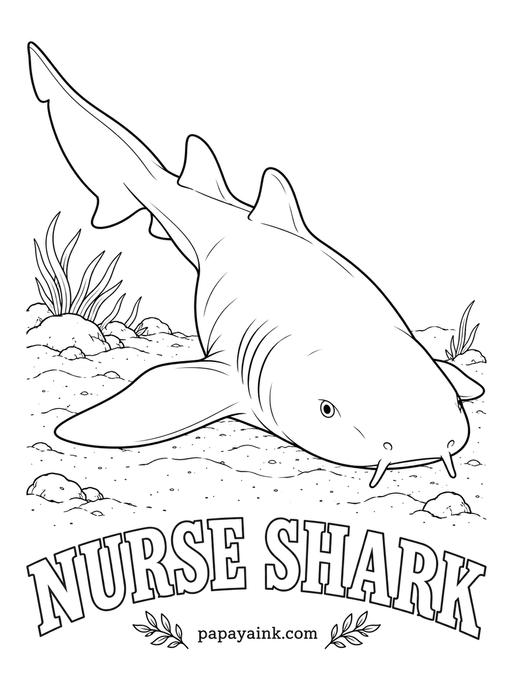 Ocean Fish Coloring Pages - Nurse sharks spend the day resting on the sand or under ledges, sometimes piled on top of each other, and hunt at night by sucking prey out of crevices. Plain tawny brown, a shade lighter underneath. Big open shapes, easy to fill.