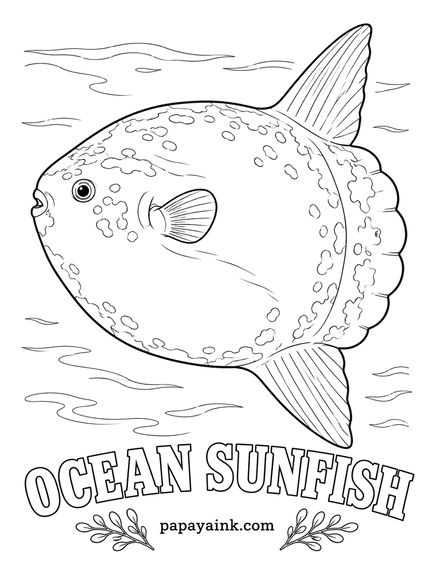 Ocean Fish Coloring Pages - Among the heaviest bony fish on Earth, it lies flat at the surface to warm up after deep dives and lets seabirds pick parasites off its skin. One female can carry hundreds of millions of eggs. Silvery gray, mottled lighter.
