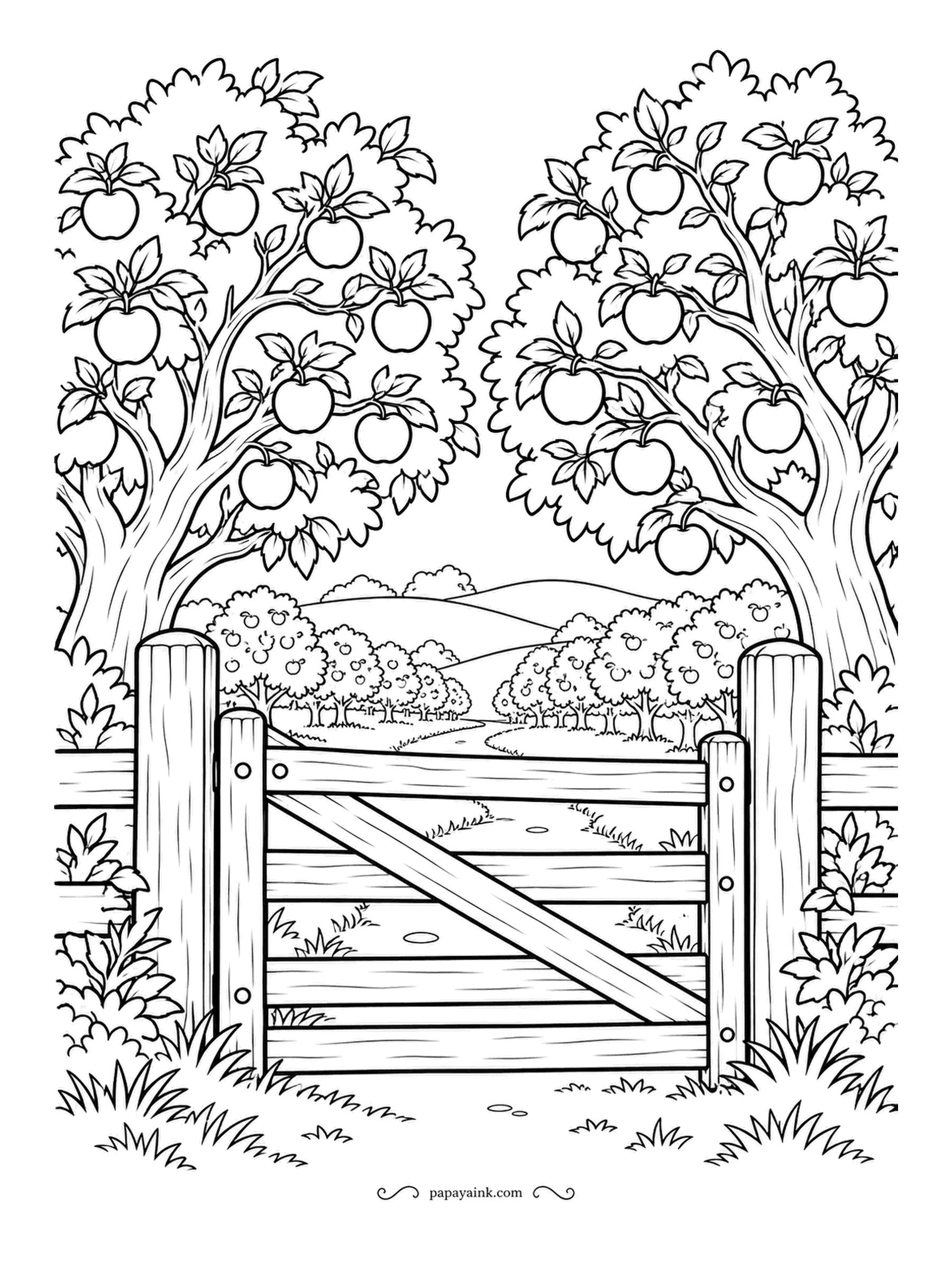 Farm Coloring Pages - Orchard gate with two heavy apple trees leaning over it and more rows climbing the hills behind. The fruit is round and large, the gate has a diagonal brace, the grass barely touched. Reds and golds for the apples, a few left green.