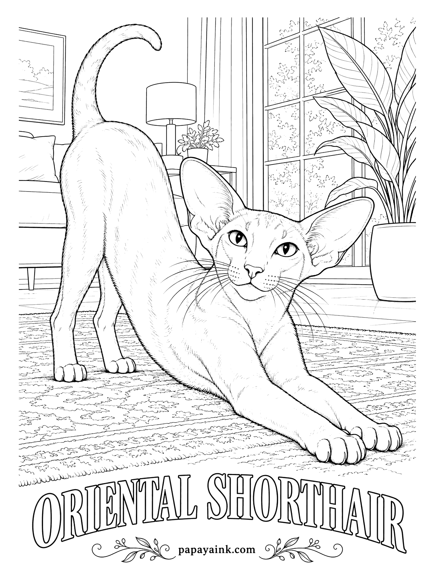 Free Printable Cat Coloring Pages - Mid-stretch on the rug, with the biggest ears of any cat. An Oriental Shorthair is bred in more than three hundred colors and patterns; solid black, called ebony, with green eyes is the best known. One flat color lets the long lines do the work.