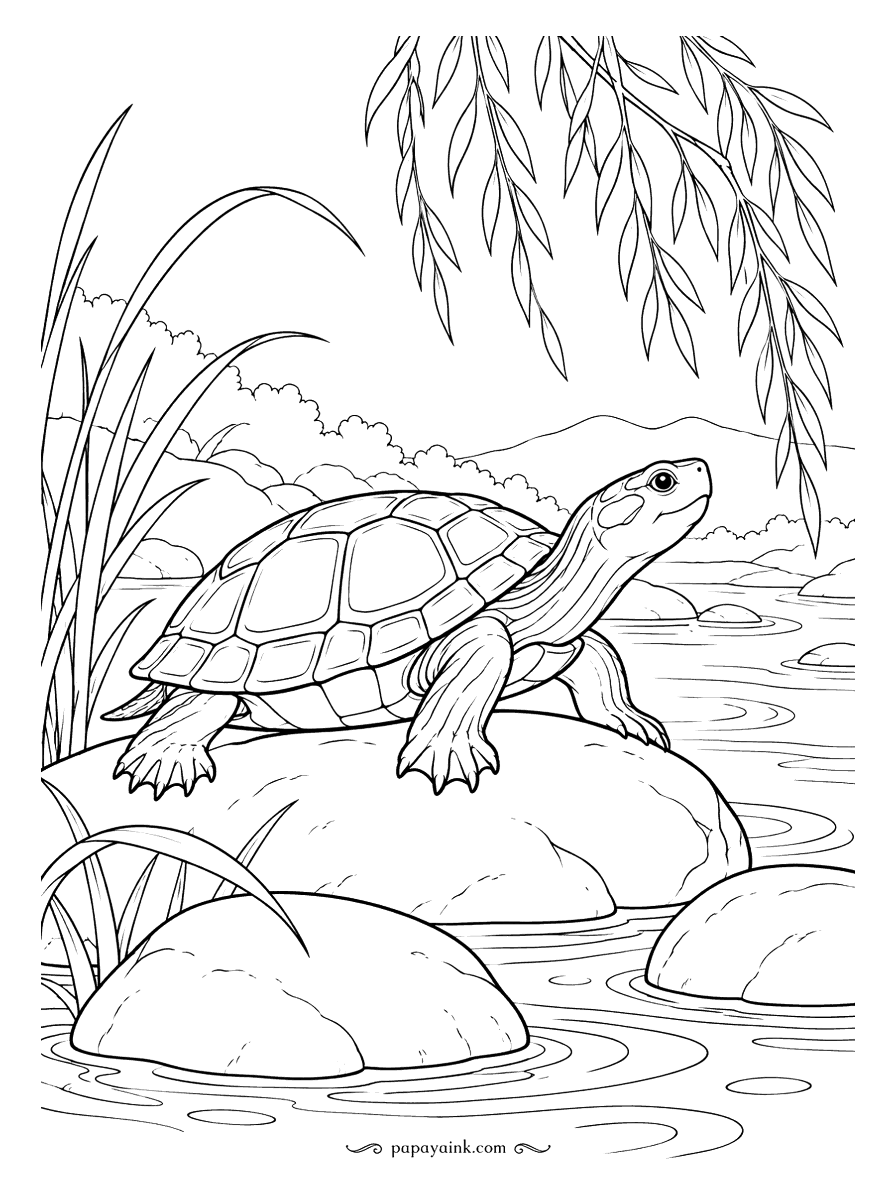 Turtle Coloring Pages - Still water, smooth boulders and a willow trailing overhead. A painted turtle has claimed the sunniest rock and stretches its striped neck toward the warmth. Soft blues and grays for the pond, with a warm shell.