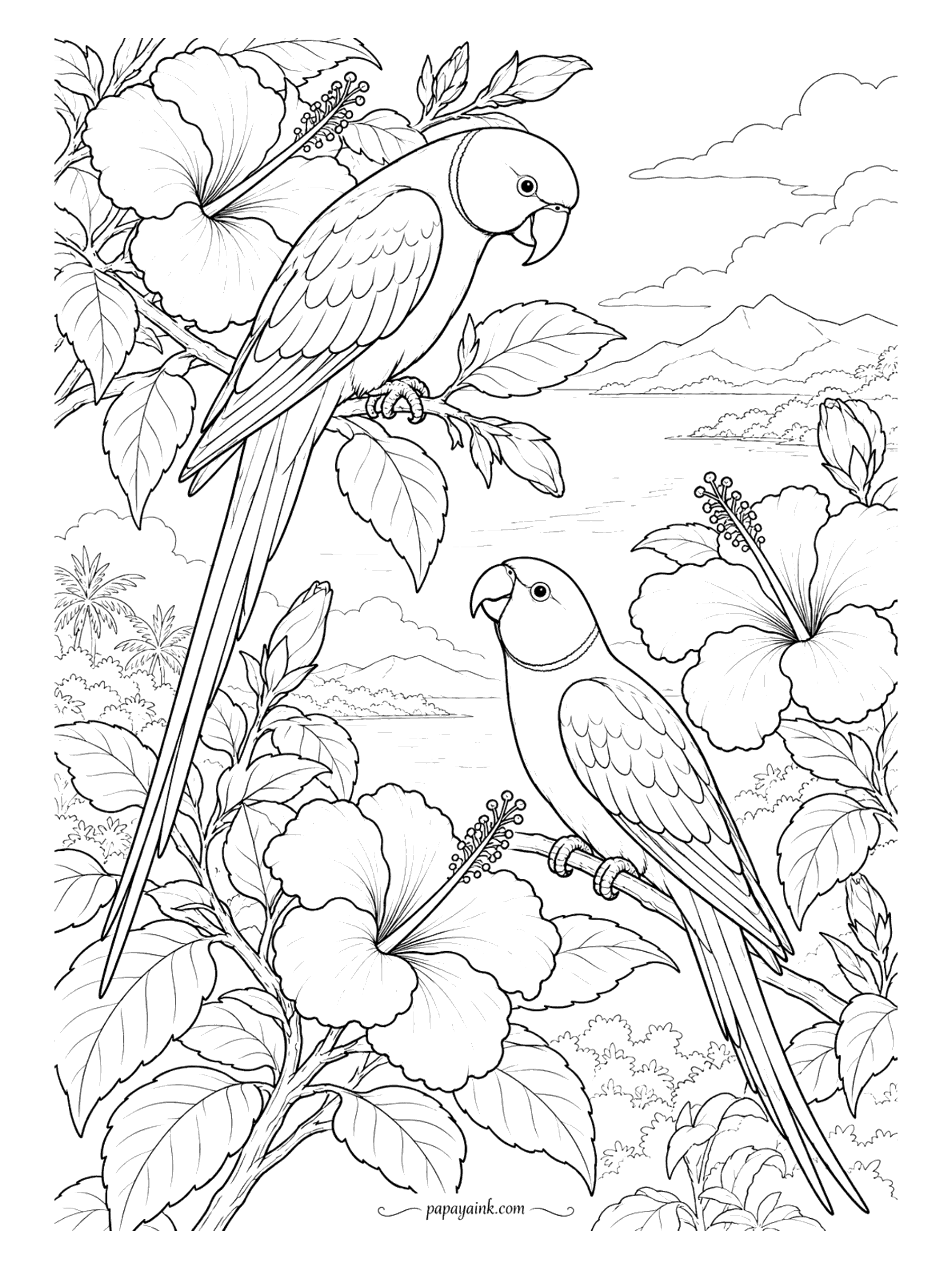 Parrot Coloring Pages - Two ring-necked parakeets on a hibiscus bush, one above, one below, with the sea and a mountain range far behind. In this species the neck ring is worn by the males. Leave the sky pale so the flowers carry the page.