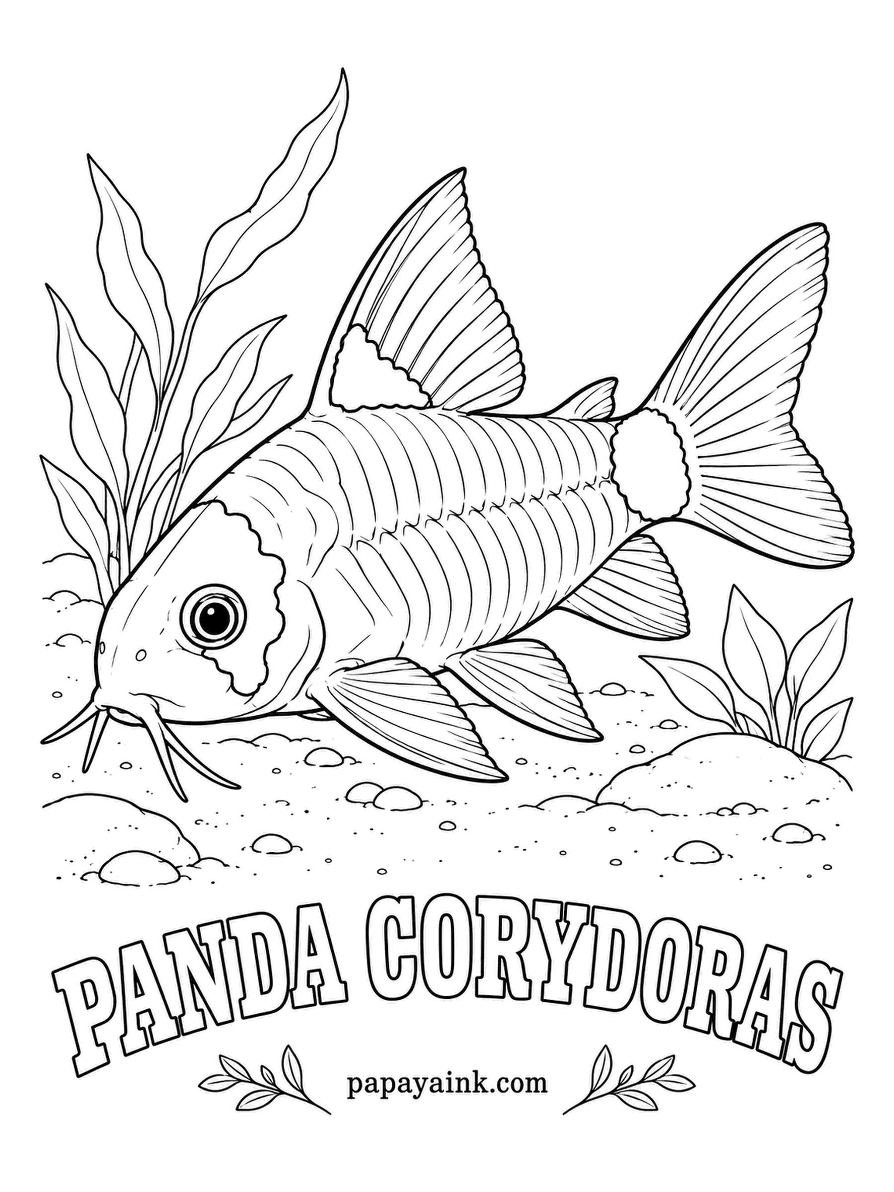 Aquarium Fish Coloring Pages - Black patches over the eye, on the dorsal fin and at the base of the tail turn this little catfish into a tiny underwater panda. It hails from the Ucayali river system of Peru. Keep the body creamy white and make the patches truly black.