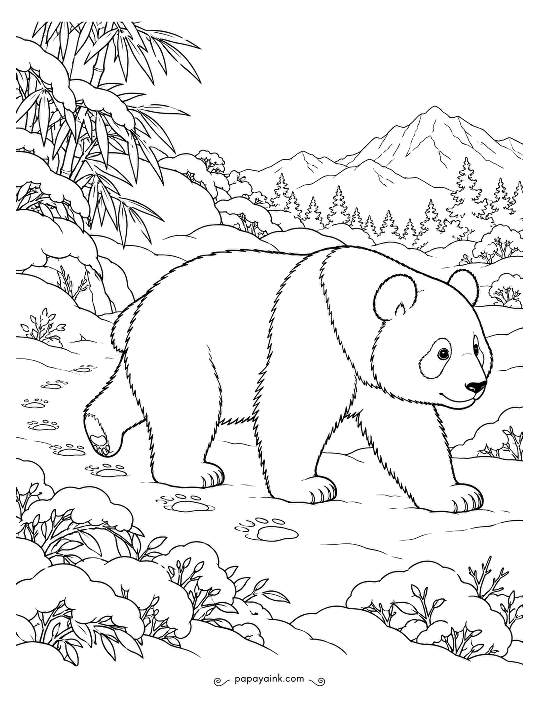 Panda Coloring Pages - Giant pandas do not hibernate; in winter they simply move lower down the mountain and keep eating. This one leaves a trail of prints across fresh snow. Realistic fur and quiet snowy peaks behind.