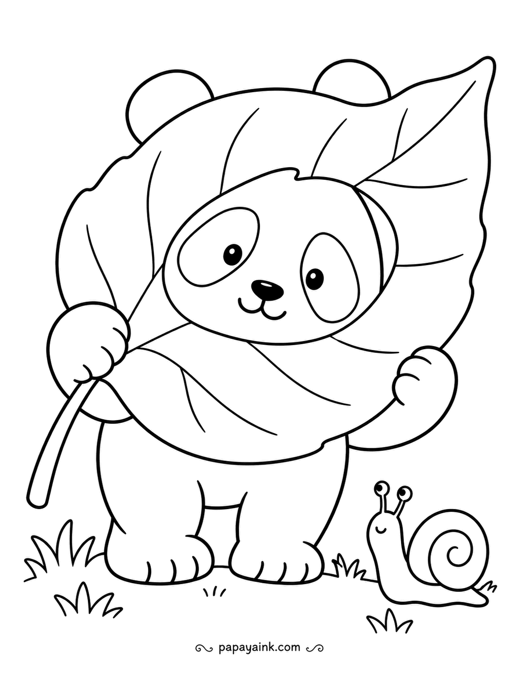 Panda Coloring Pages - A broad leaf makes a fine hood for a rainy day, or just for hiding. The panda peeks out from under it while a snail watches the whole performance. Very few lines - perfect for little hands.
