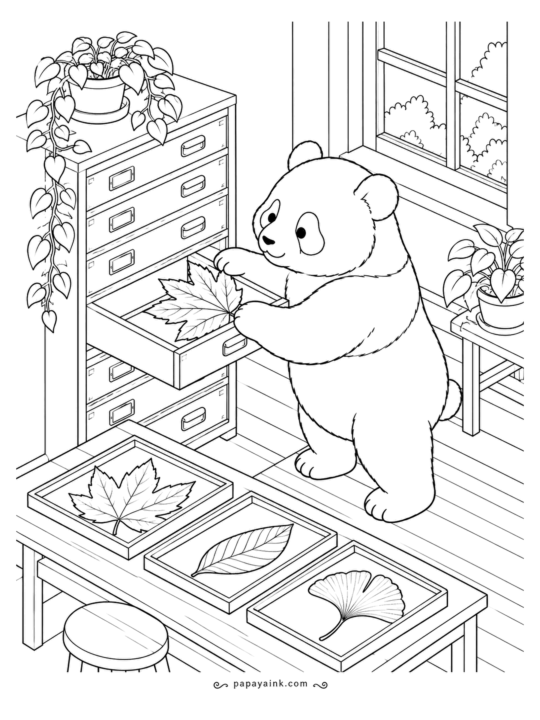 Panda Coloring Pages - A cabinet of shallow drawers, each holding a pressed specimen: maple, ginkgo, a long willow-like blade. The panda files the newest find. Isometric furniture, plants and window - detailed and orderly.