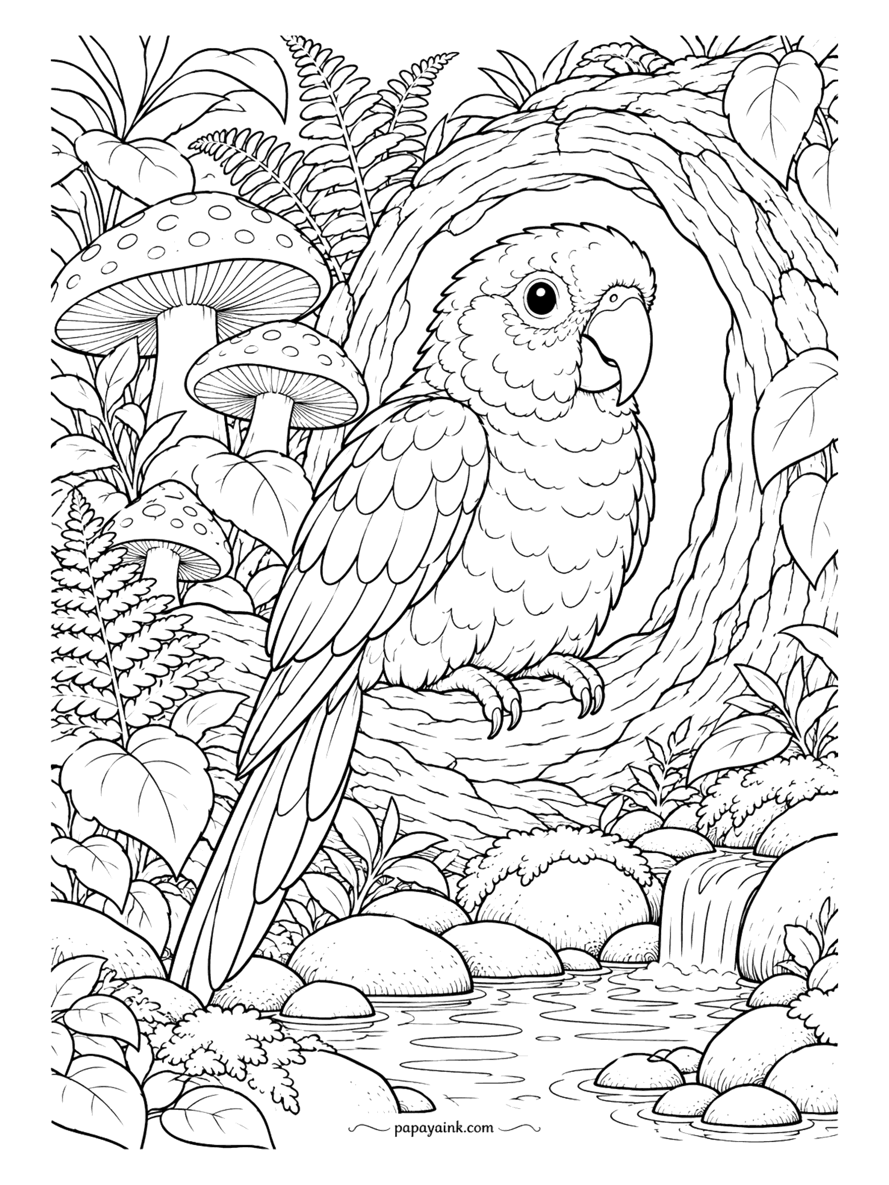 Parrot Coloring Pages - Tucked into a tree hollow above a stream, a parrot watches the water, with spotted mushrooms and ferns on the bank and moss on the stones. A warm, close scene. Detailed.