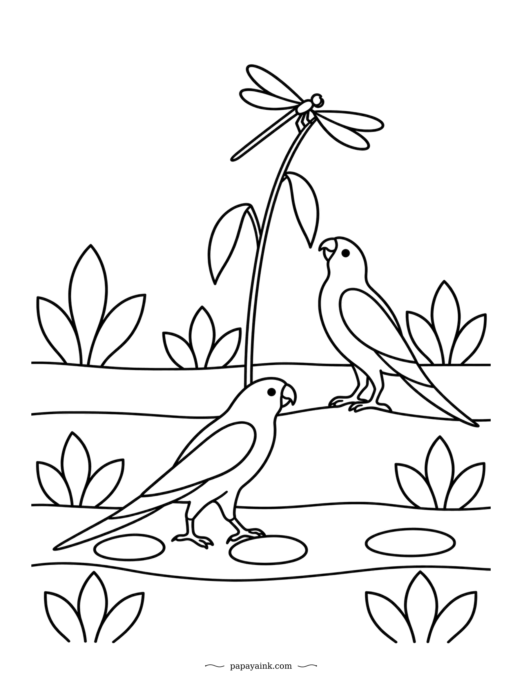 Parrot Coloring Pages - A dragonfly lands on a tall stem, and two birds stop on the stepping stones to look. Neither is quite sure whether it is food or just a visitor. Plain forms, ideal for a first attempt.