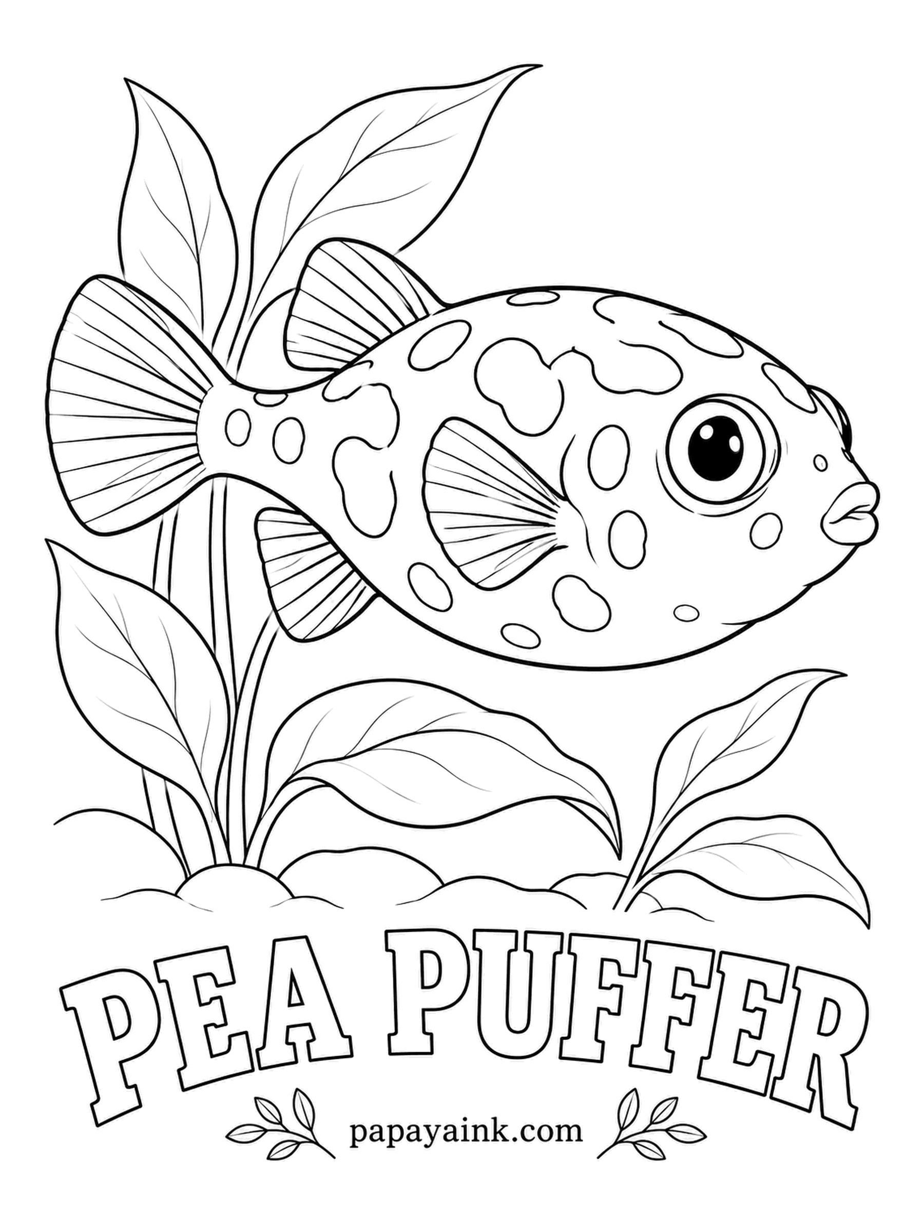 Aquarium Fish Coloring Pages - Fingertip-sized, the pea puffer from the rivers of southwest India ranks with the smallest pufferfish in the world. Each eye swivels on its own, and snails are its favorite meal, shell and all. Golden yellow with irregular dark green spots.