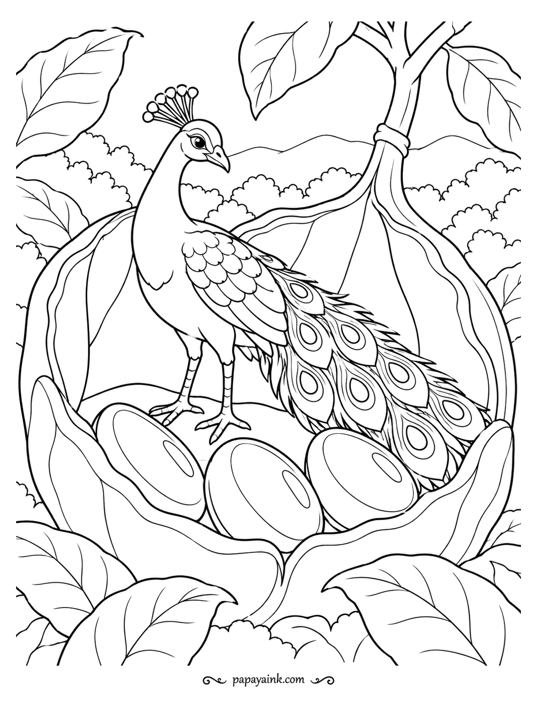 Peacock Coloring Pages - In this miniature world a split seed pod is big enough to climb into, and the peacock is checking the three glossy seeds inside. Broad leaves and simple curves, with just a little feather detail on the tail.