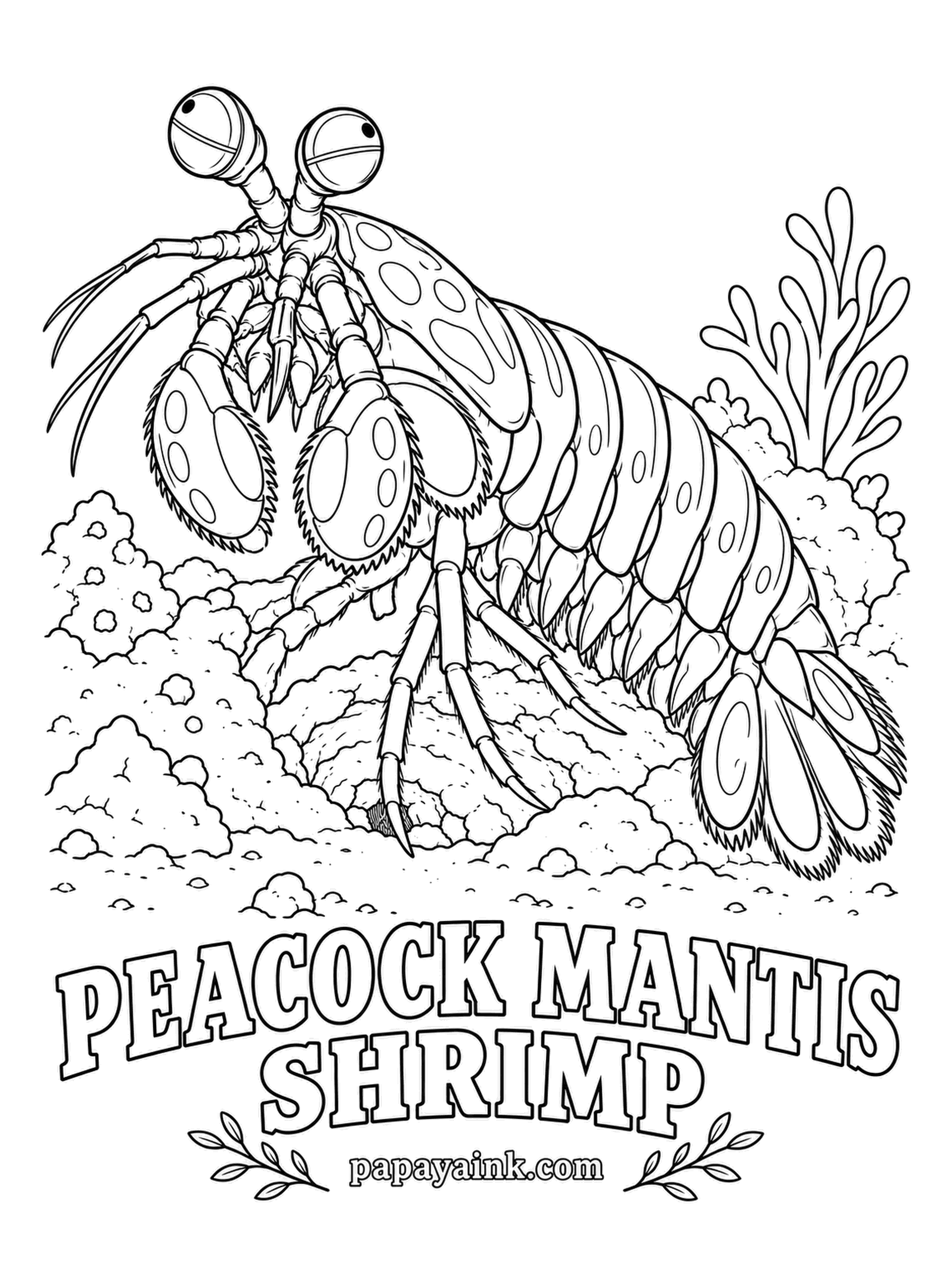 Sea Creature Coloring Pages - Its punch moves so fast that the water around the club briefly boils. The eyes are stranger still: each swivels on its own and senses polarized light, invisible to us. Green body, orange legs, a leopard-spotted chest and a blue tail fan. Detailed.