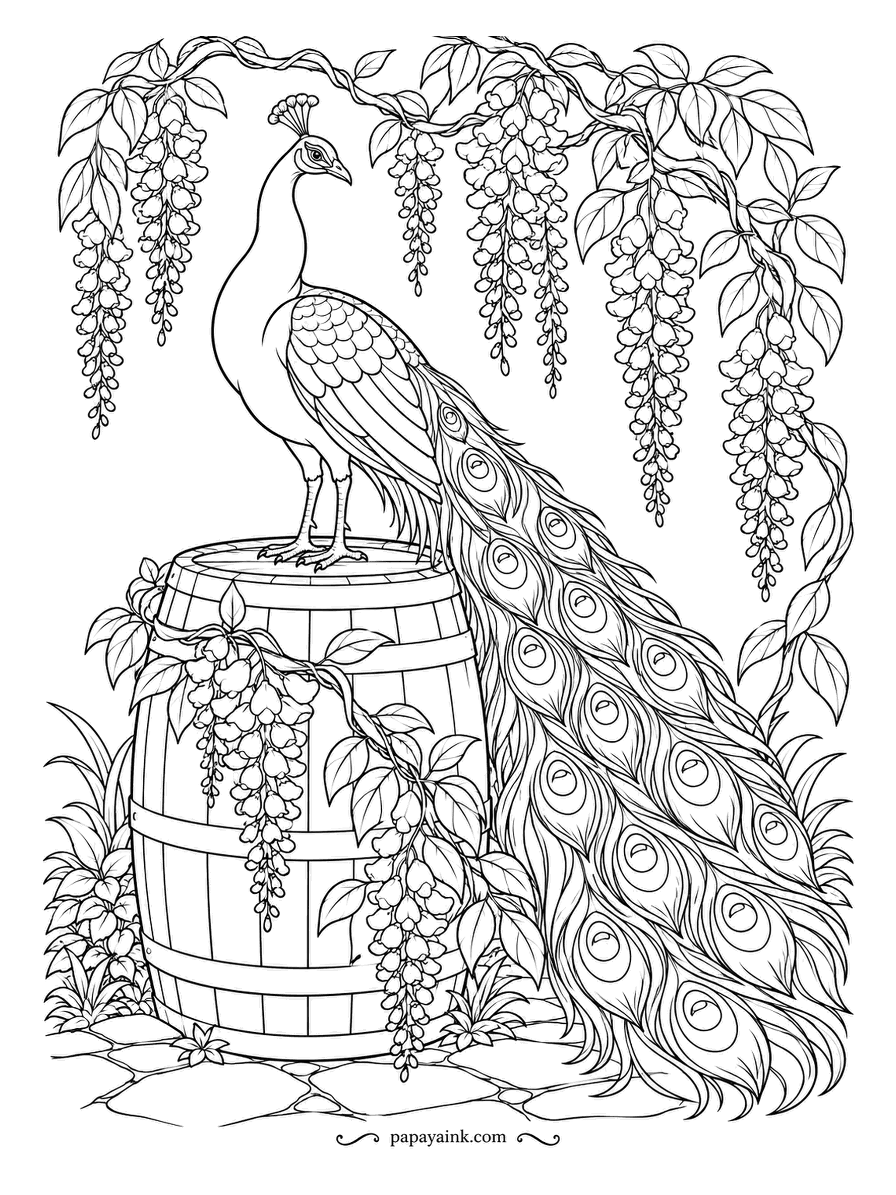 Peacock Coloring Pages - Wisteria hangs in long clusters over a rain barrel, and the peacock on top lets his train pour down the side like one more trailing vine. Lilac blossoms and teal eyespots were made for each other. Detailed.