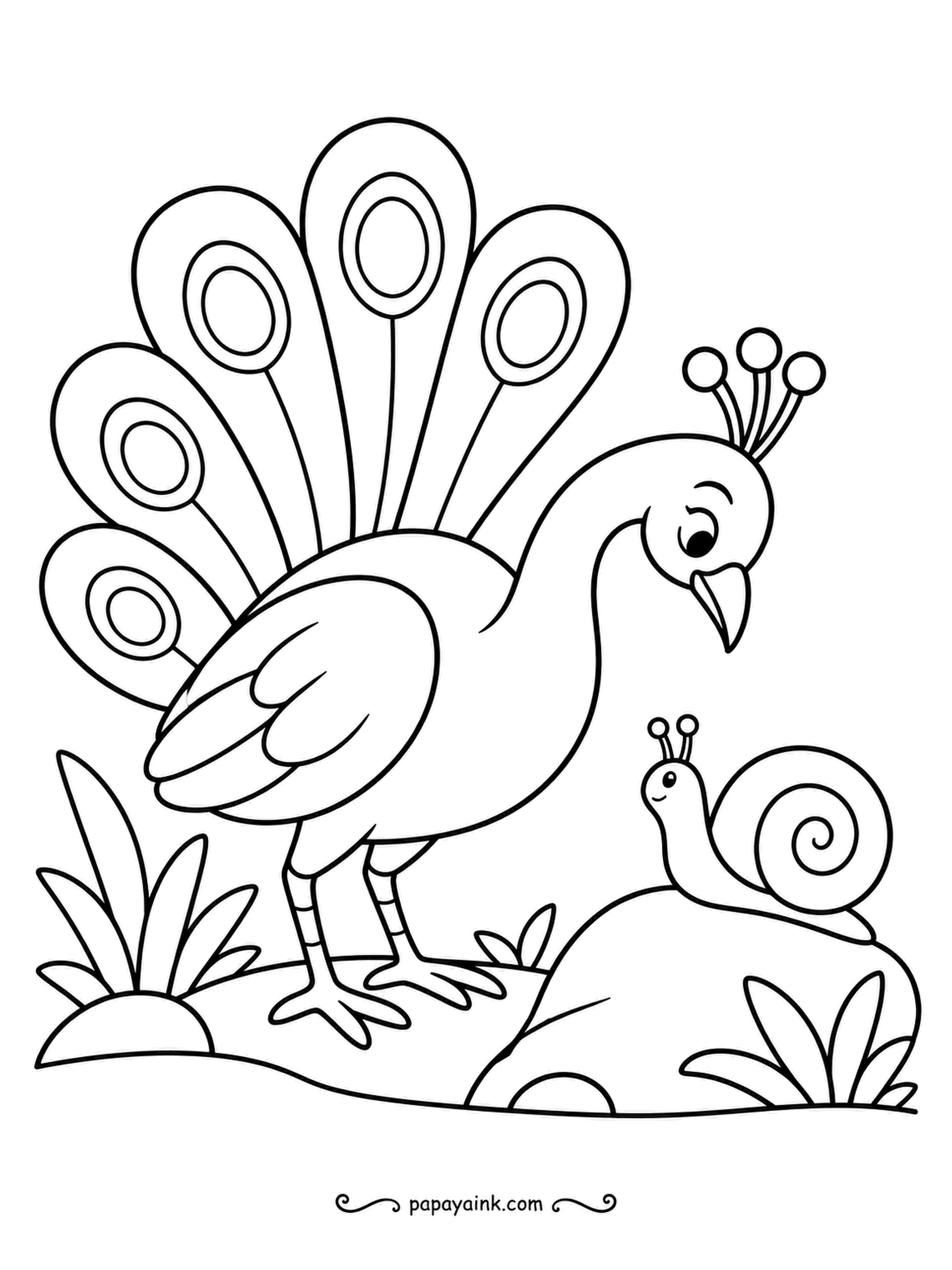Peacock Coloring Pages - A snail is crossing the rock very, very slowly, and the peacock has decided to watch the whole trip. Large open spaces and almost no small detail - one of the easiest sheets here.