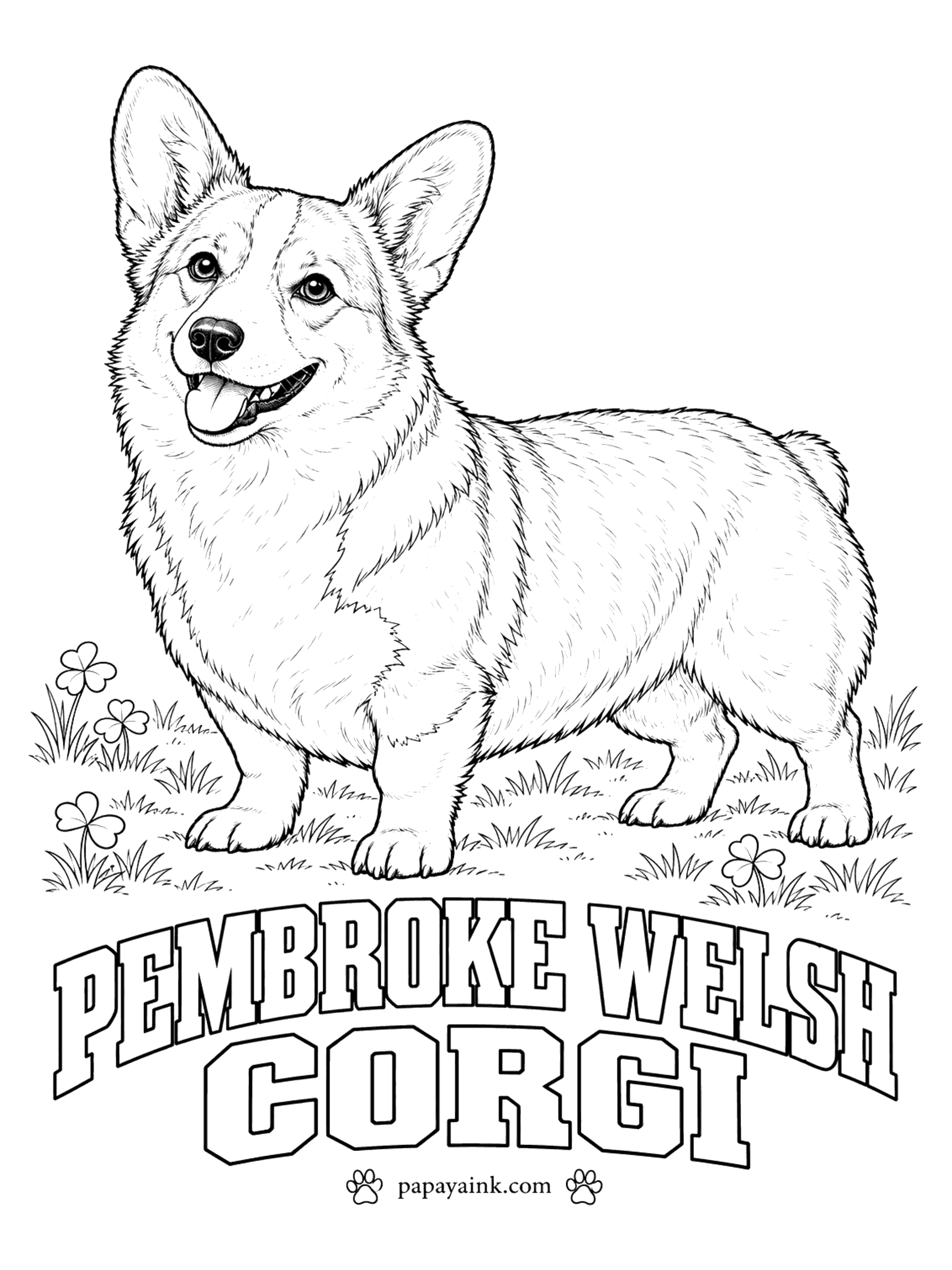 Free Printable Dog Coloring Pages - Short legs, a fox face, upright ears and almost no tail: the Pembroke Welsh corgi. Red and white is the best-known coat - red on the back and ears, white on the muzzle, chest, belly and feet. Sable and tricolor corgis are seen as well.