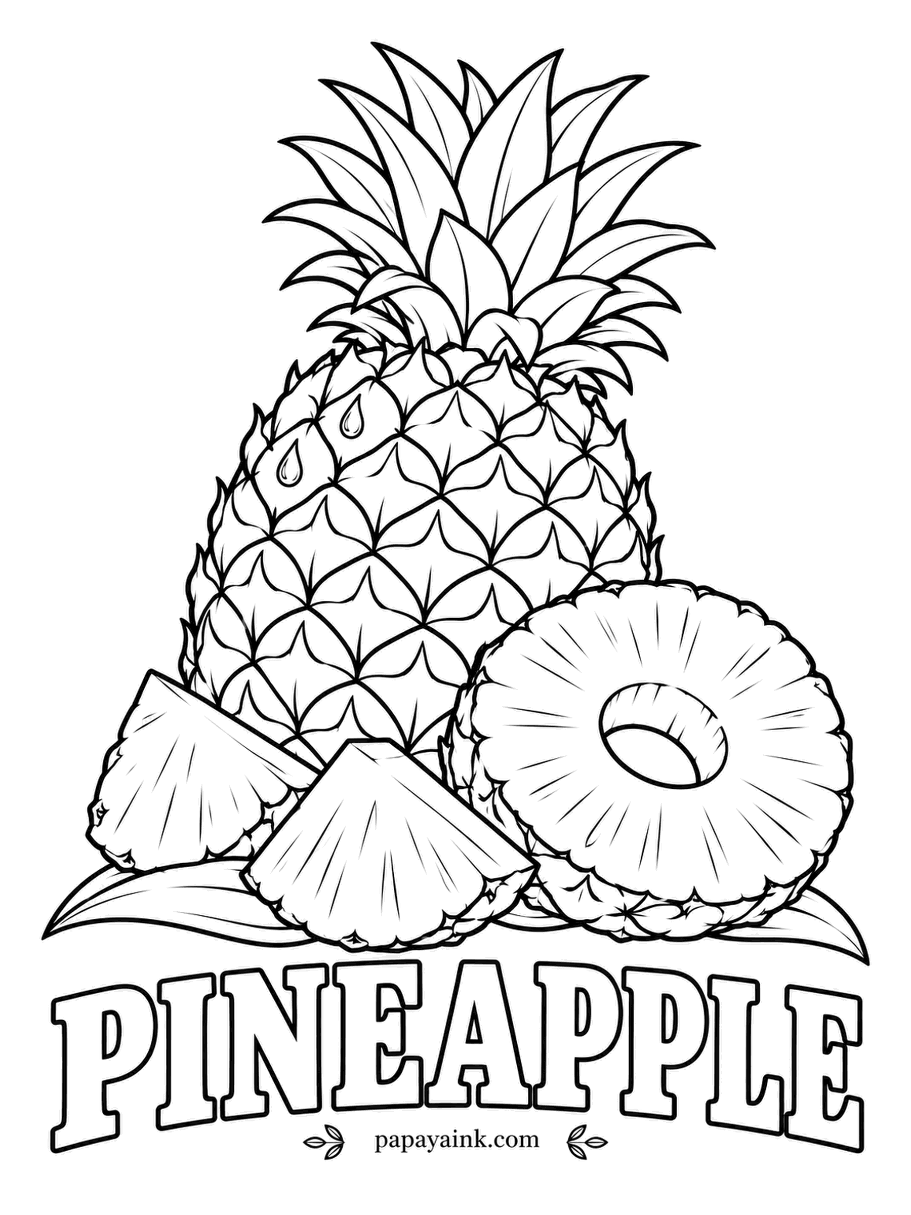 Printable Fruit Coloring Pages - Pineapple with its crown of spiky leaves, a ring slice and two chunks. The shell is golden brown with green at the base of every scale; the flesh is pale yellow with a darker core.