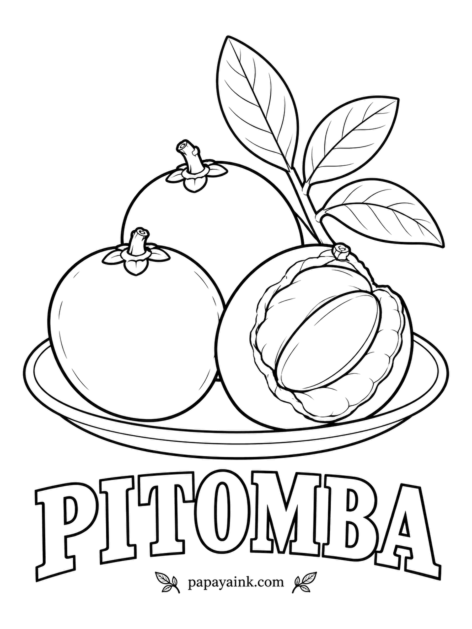 Printable Fruit Coloring Pages - Small, Brazilian and bright orange-yellow when ripe, pitomba keeps a juicy, tart white pulp around a single seed beneath its thin peel. A flower-shaped calyx stays on top of each fruit.
